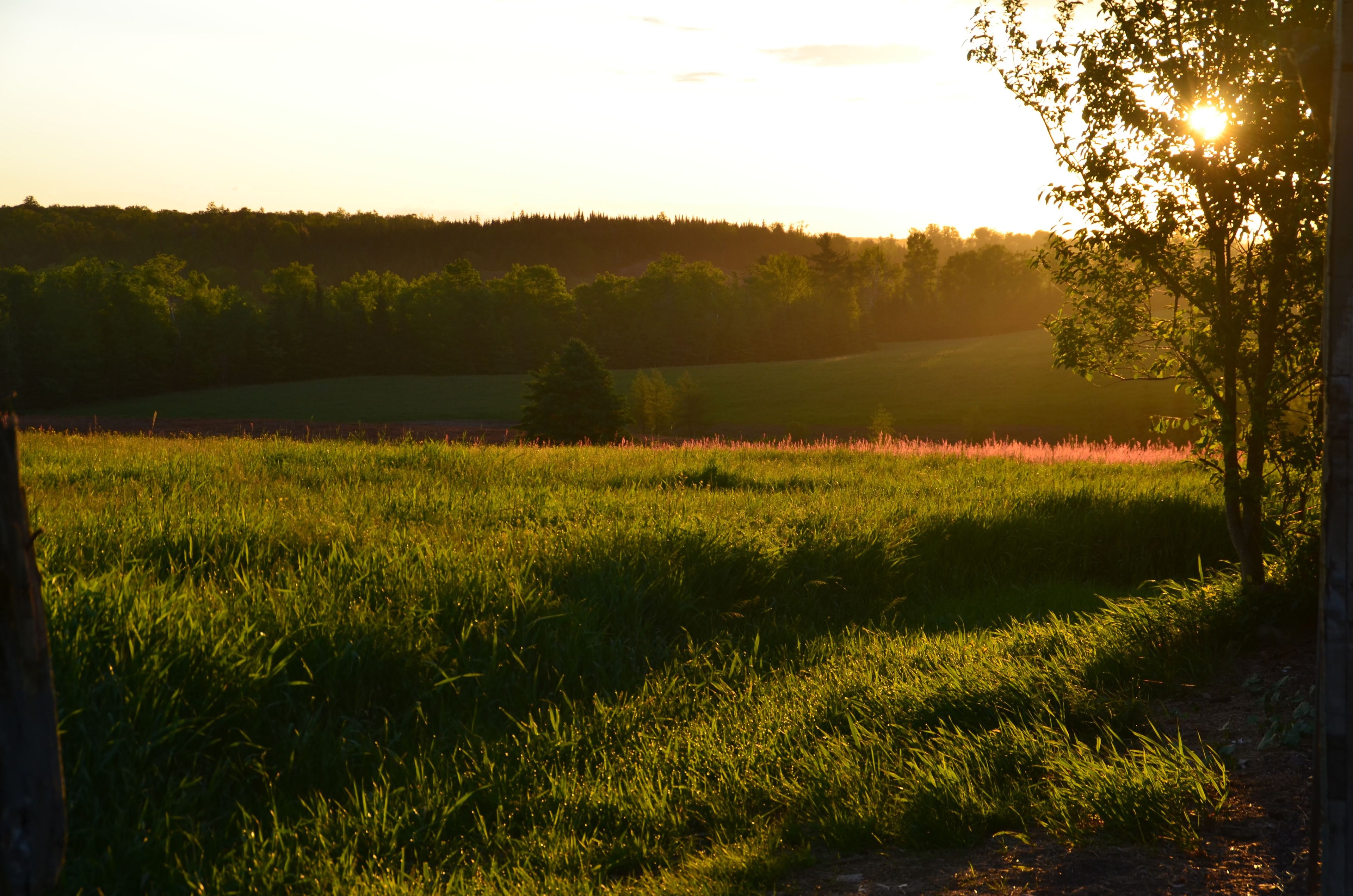 Pearl House Farm