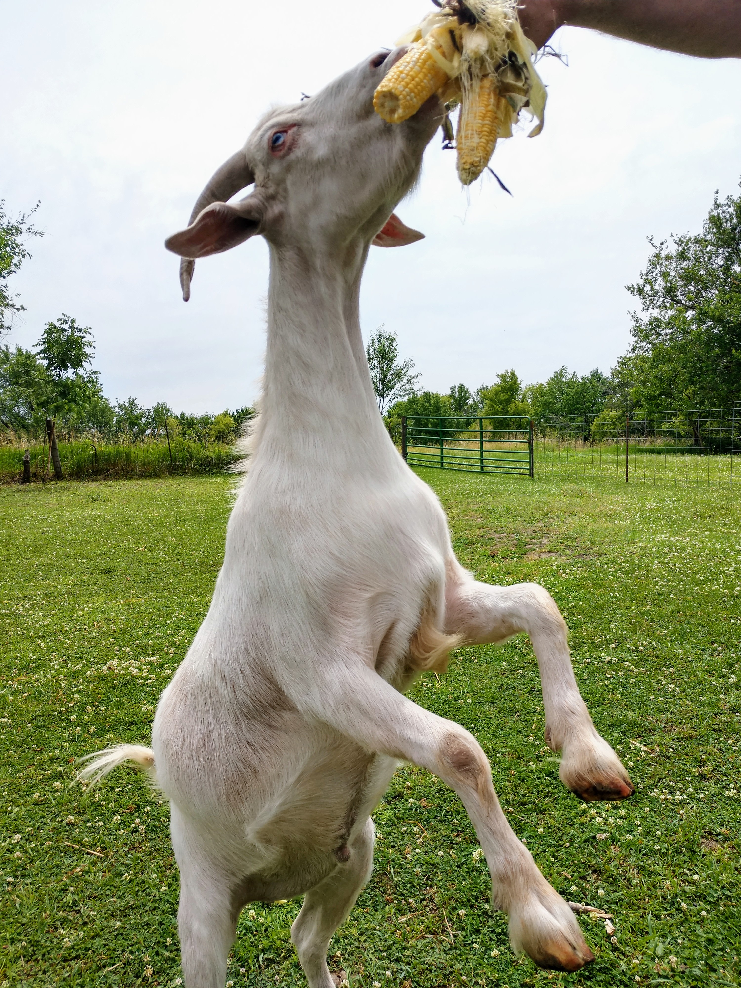 Secluded riverside ranch