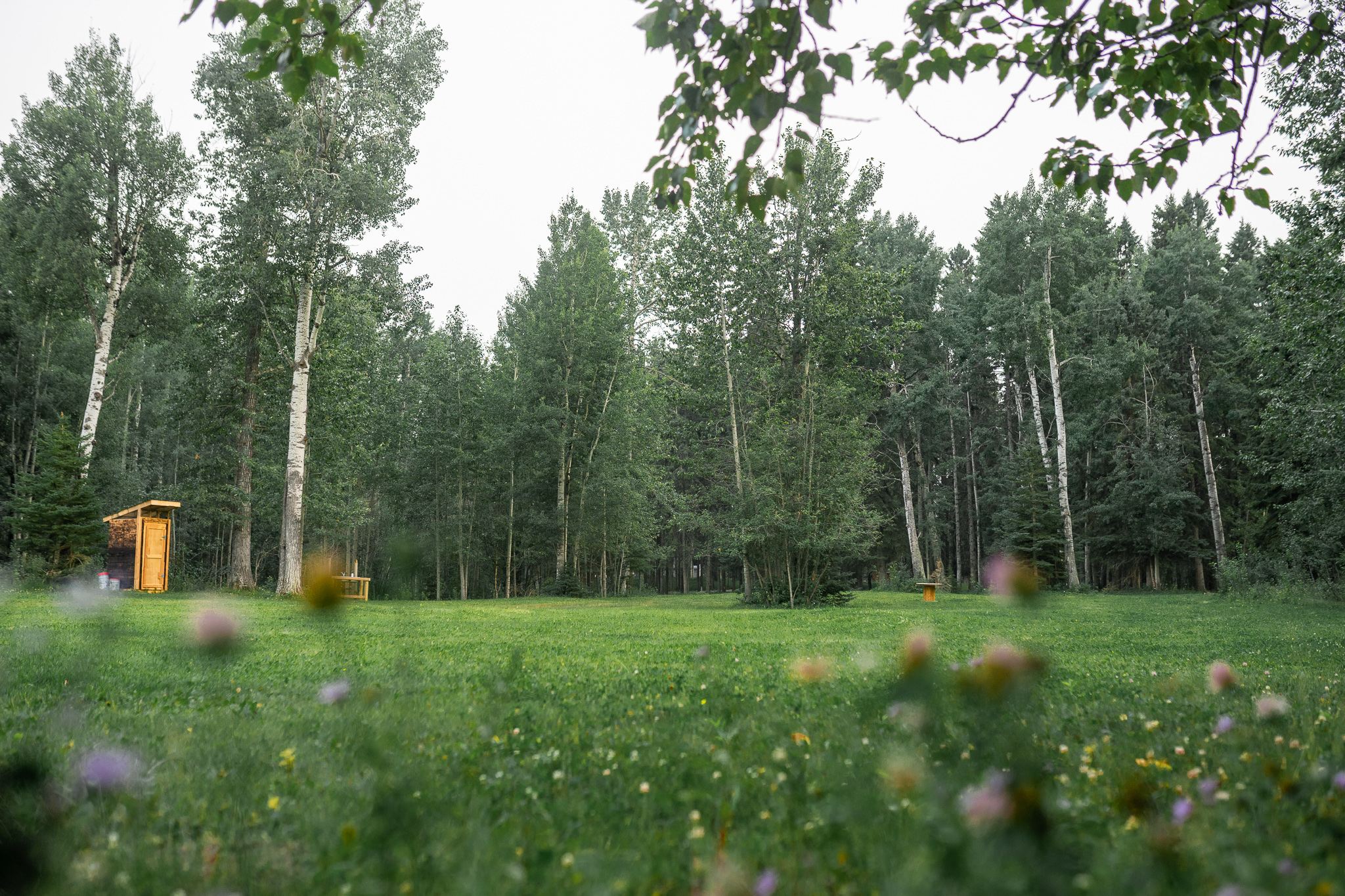 A nice open clearing, would be good for a larger event. Compost toilet to the left as well as a sink.