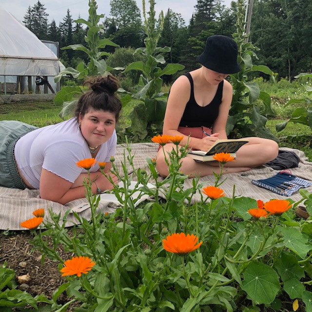 Art and Health Chill Camping