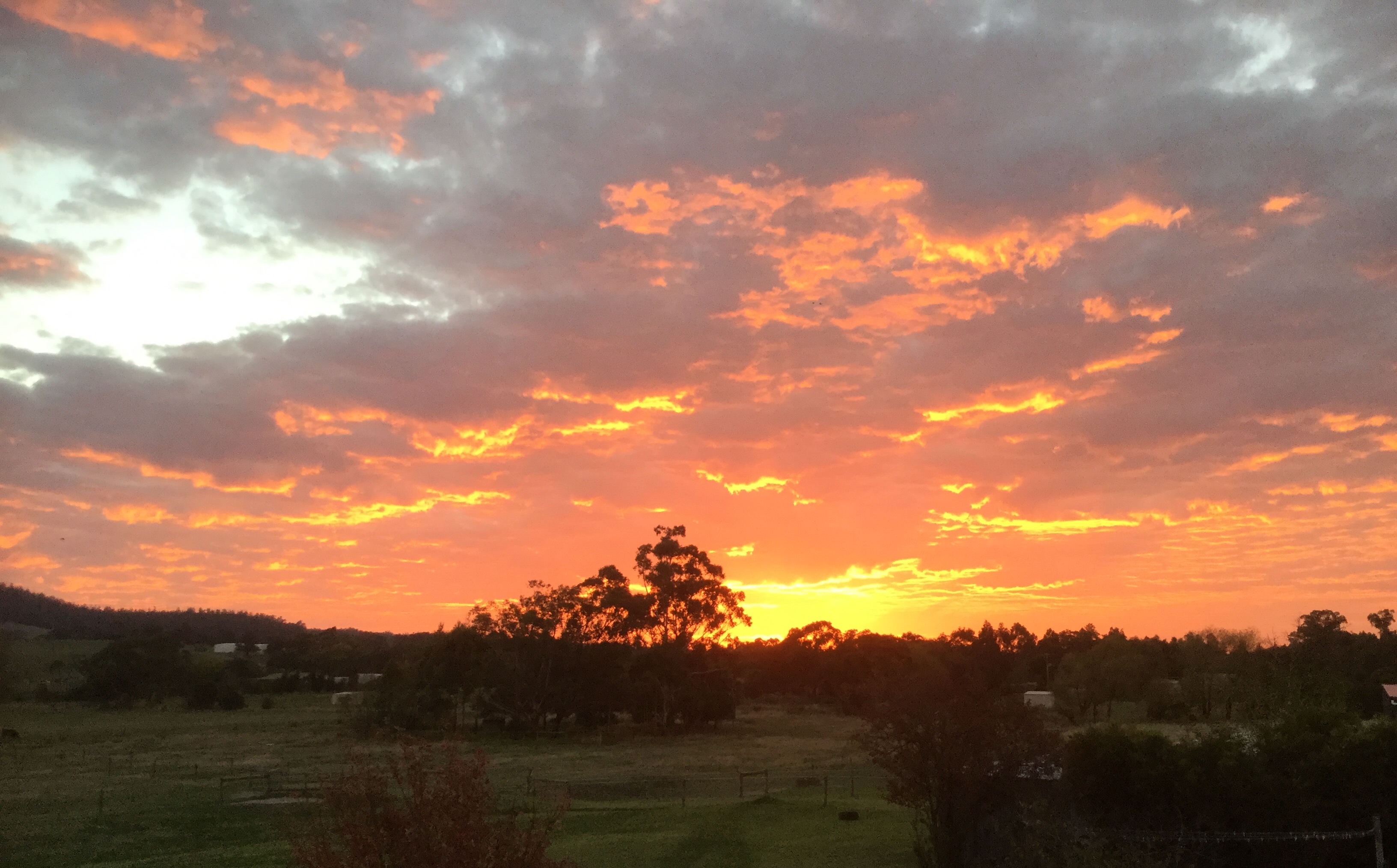 Galloping Gypsy Getaway