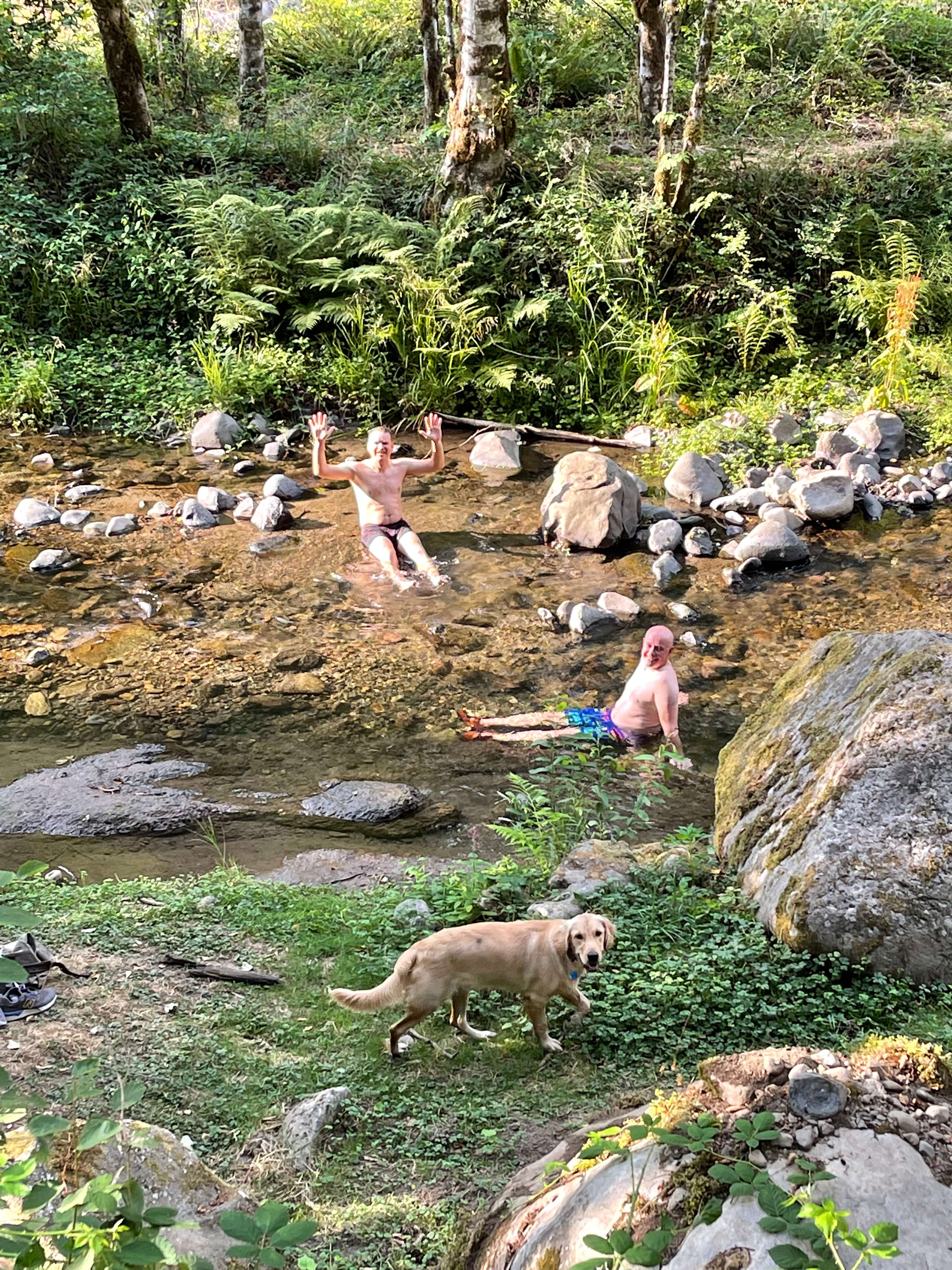 Our friends trying to stay cool in the creek.