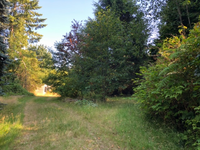 The path leading to one of the RV / Camper van spots as well as tent camping. 