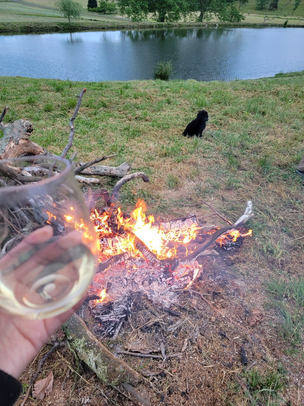 Campfire and wine anyone?