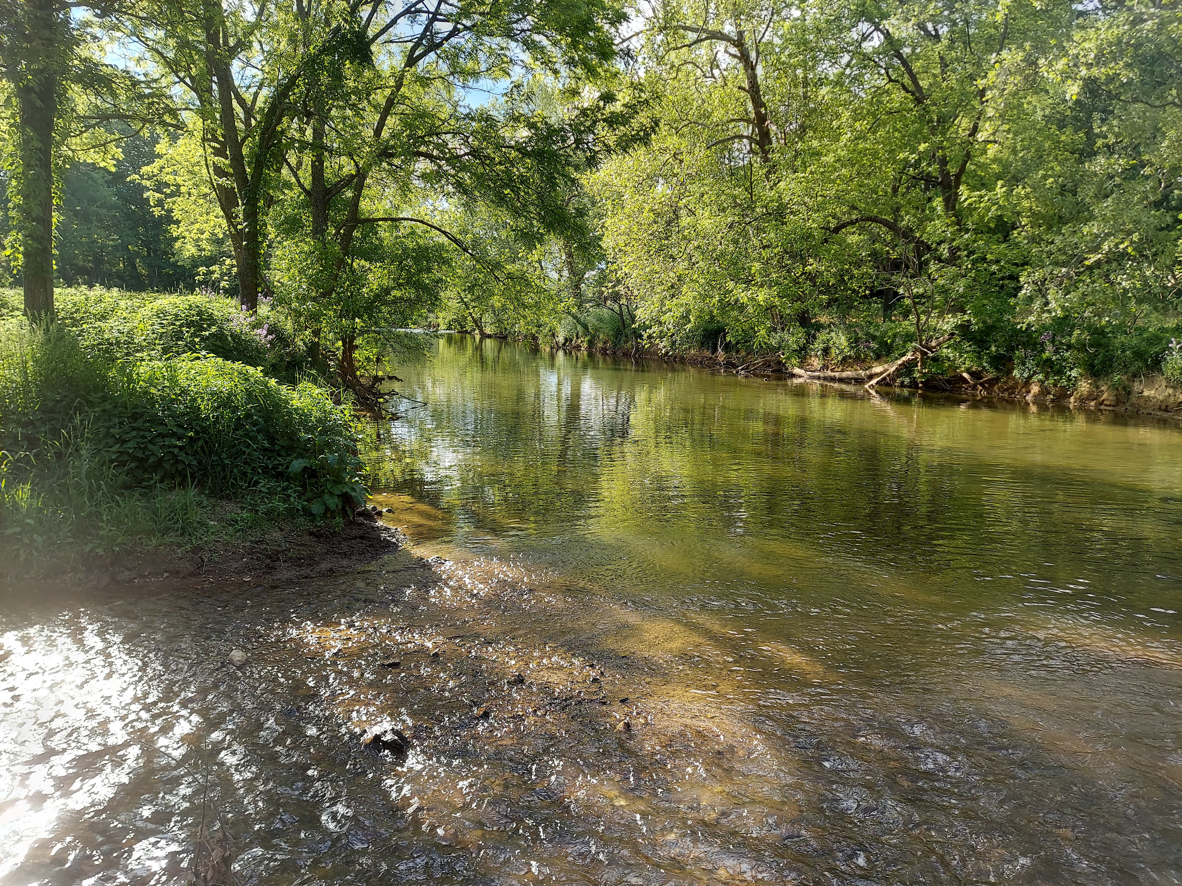 confluence of Tate Run and Reed Creek