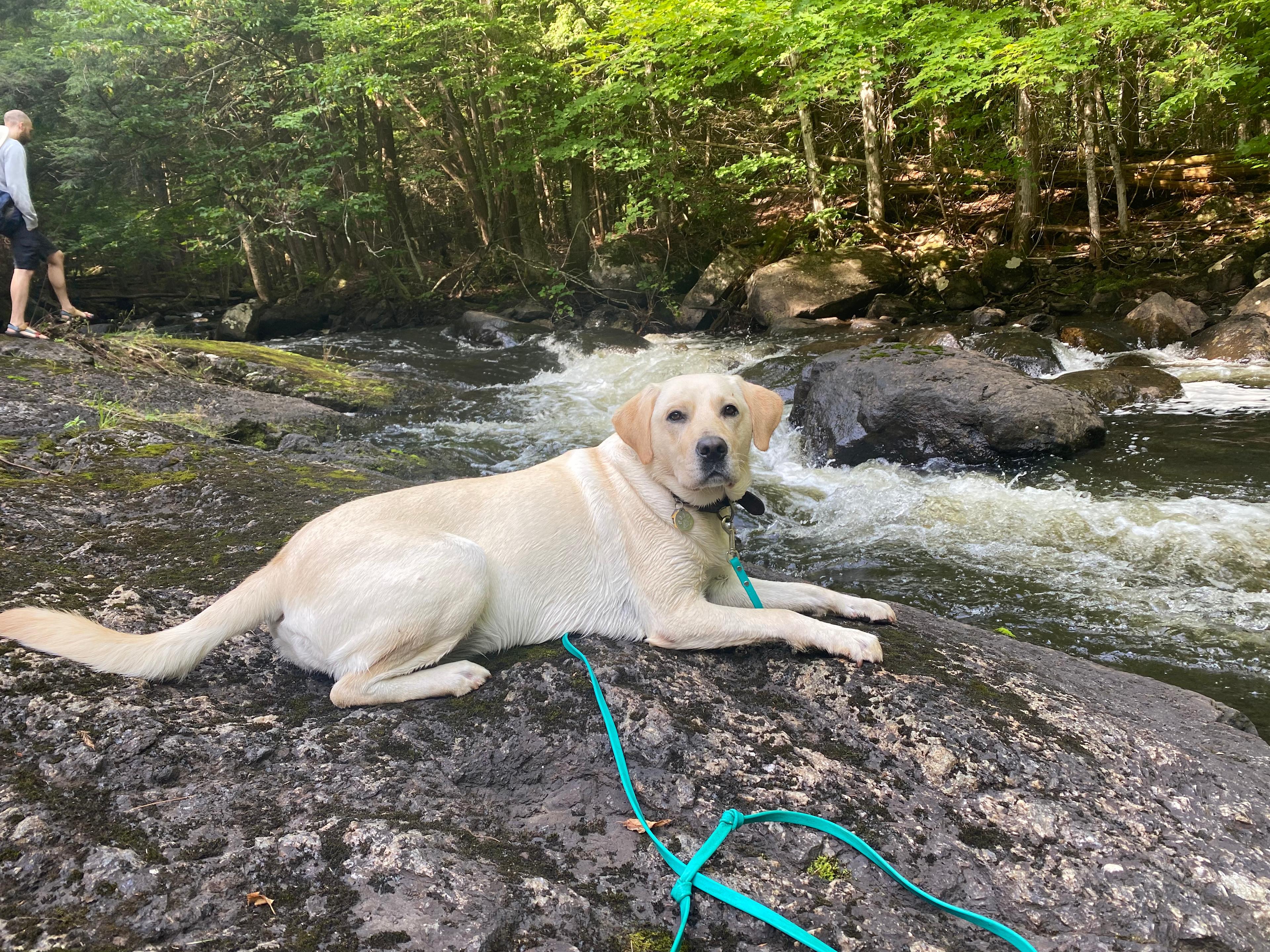 PRIVATE WATERFALL @ Davey Falls ADK