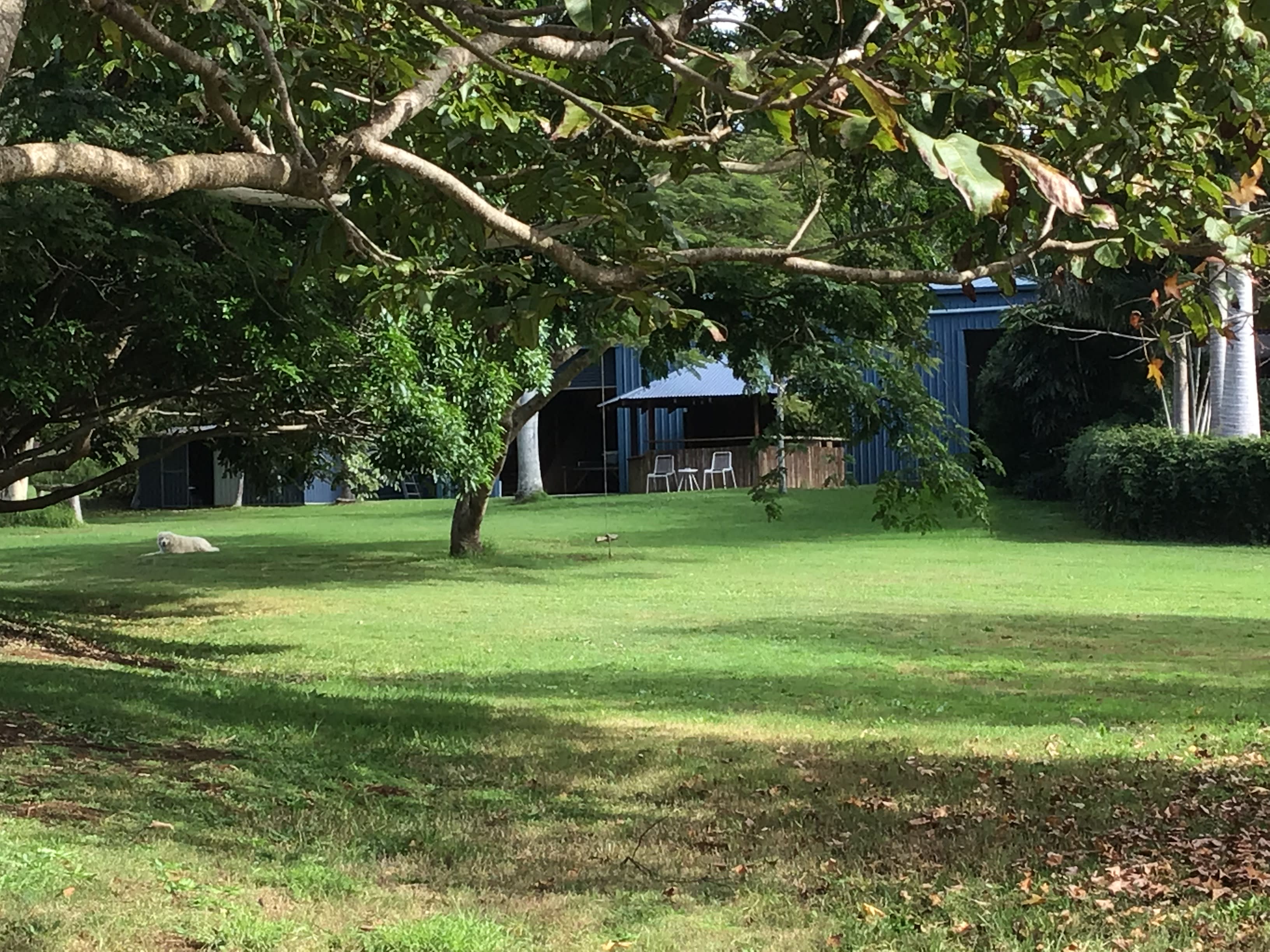 Big Blue Barn