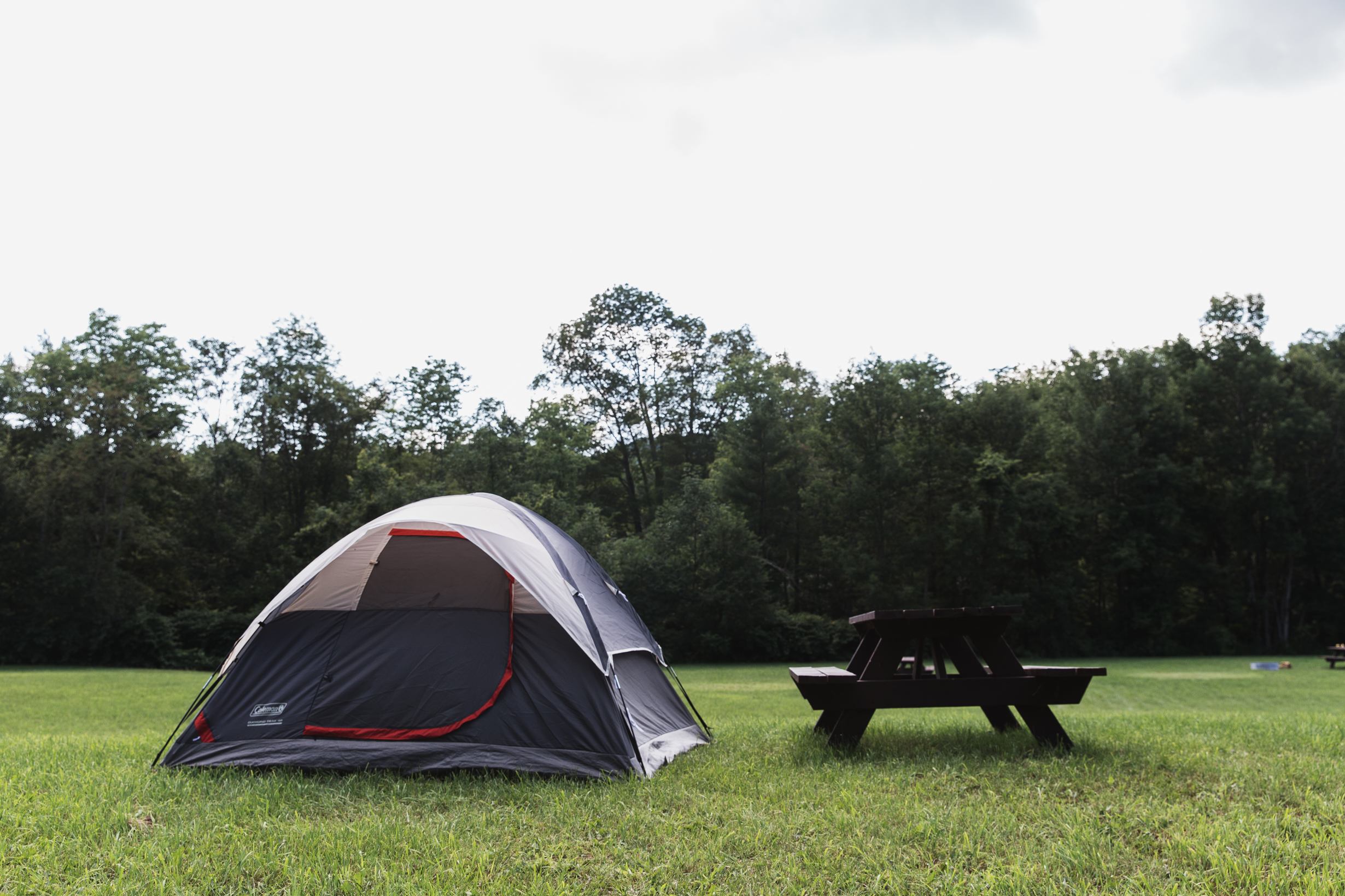 I normally prefer to camp tucked into the woods, but this high spot in the middle of the field was nice and dry after weeks of rain. 