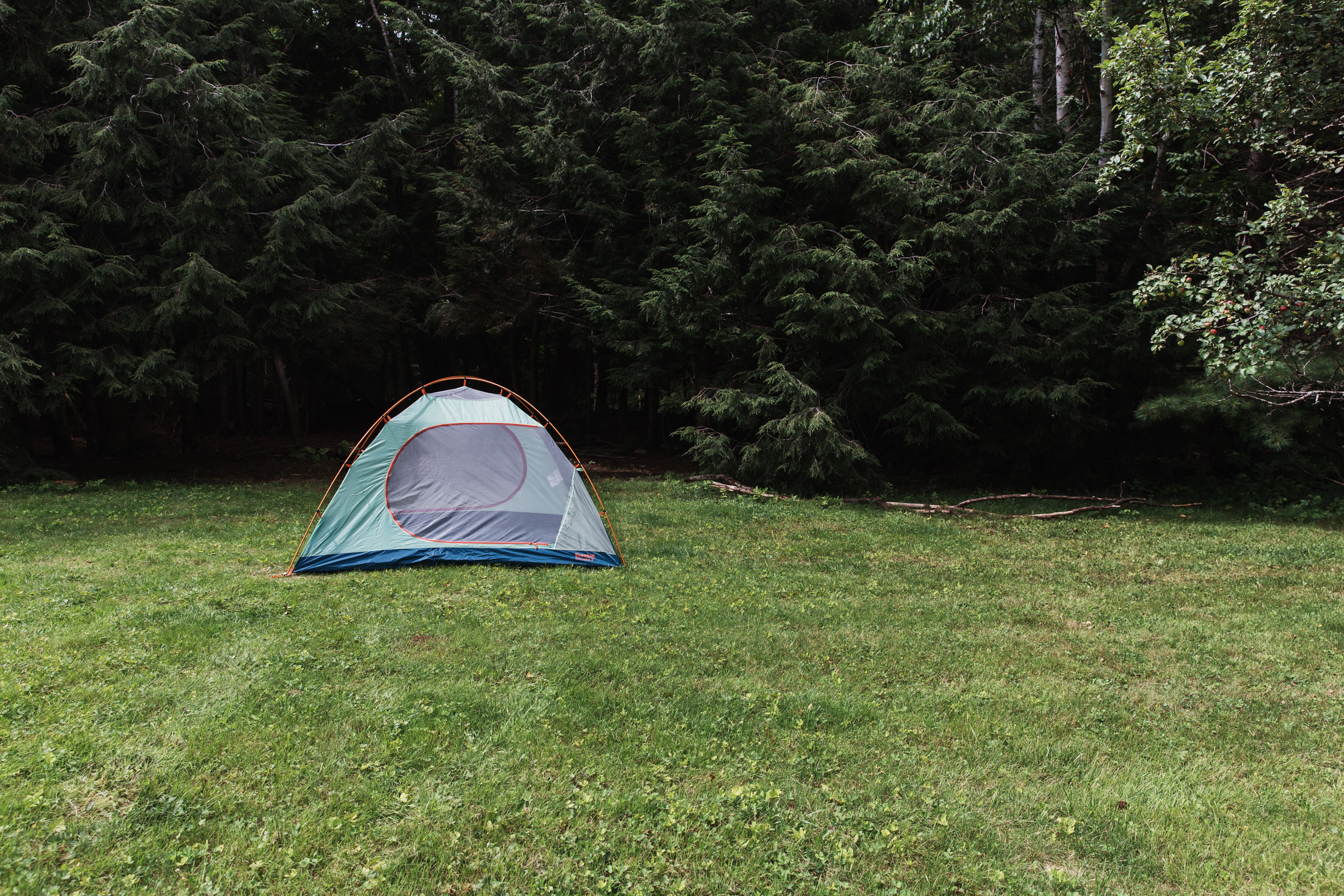 Expansive view, but tucked into the trees: my favorite combination. 
