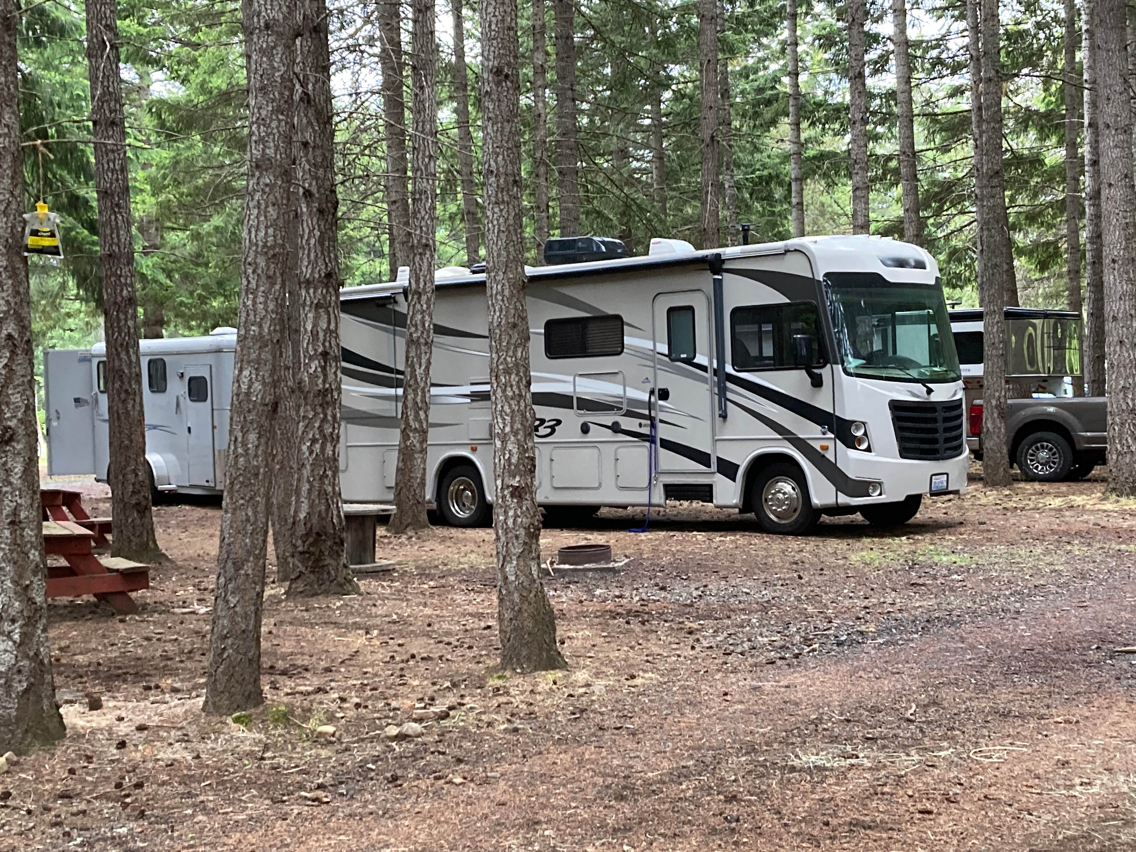 Spacious RV and Tent Sites 
