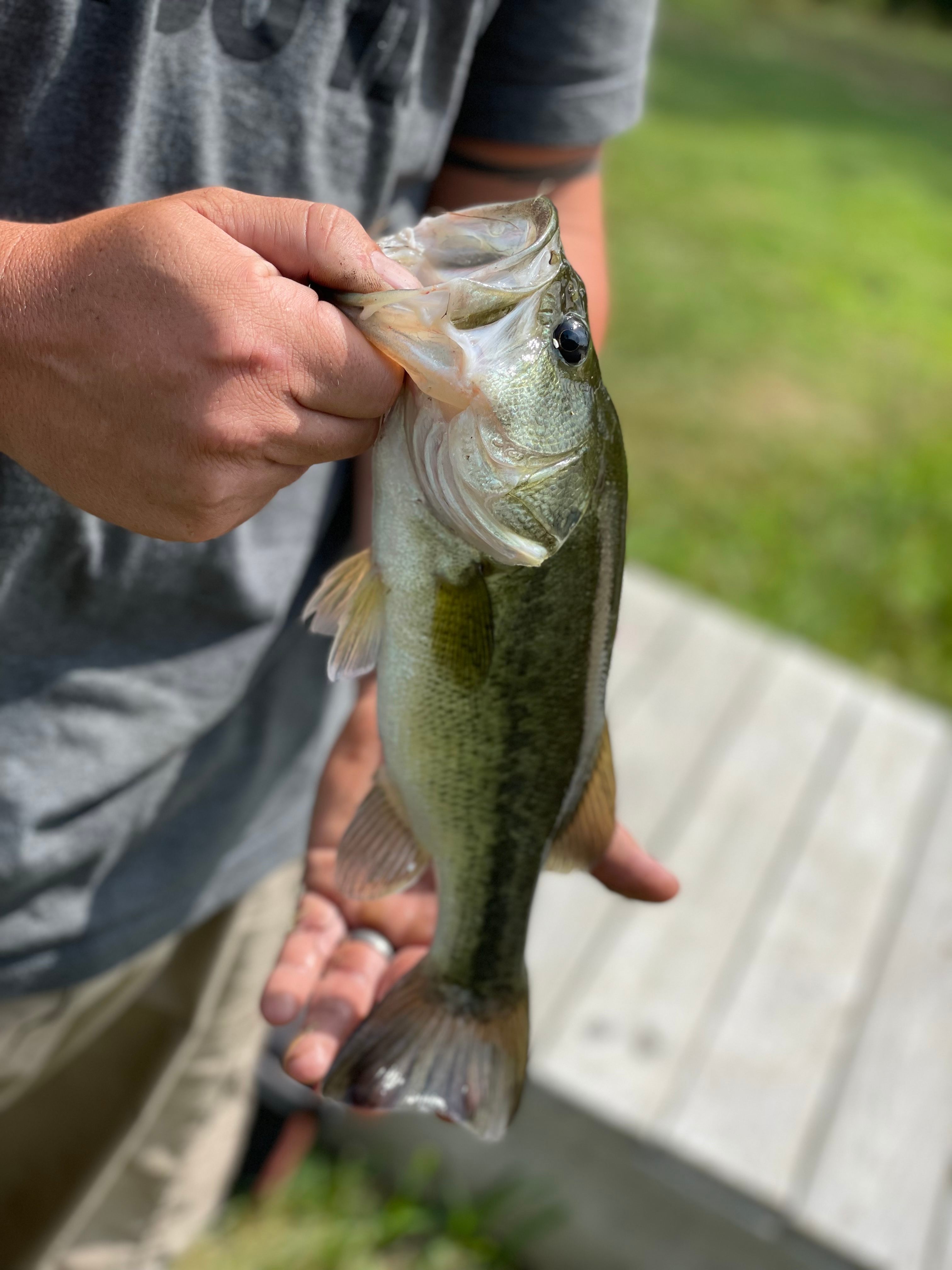 My Spot-Private Forest Campsite