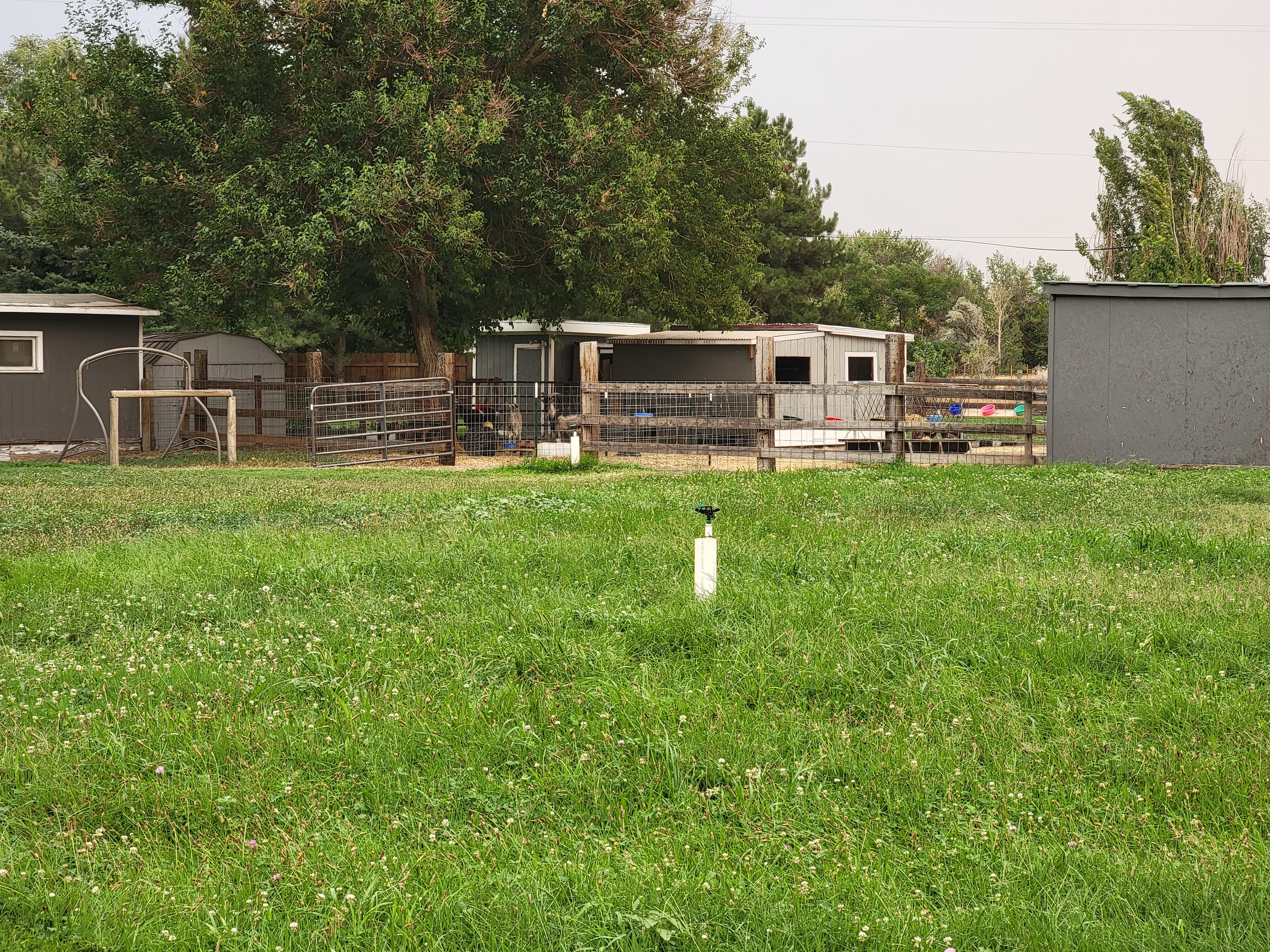 JenEric Alpaca Ranch