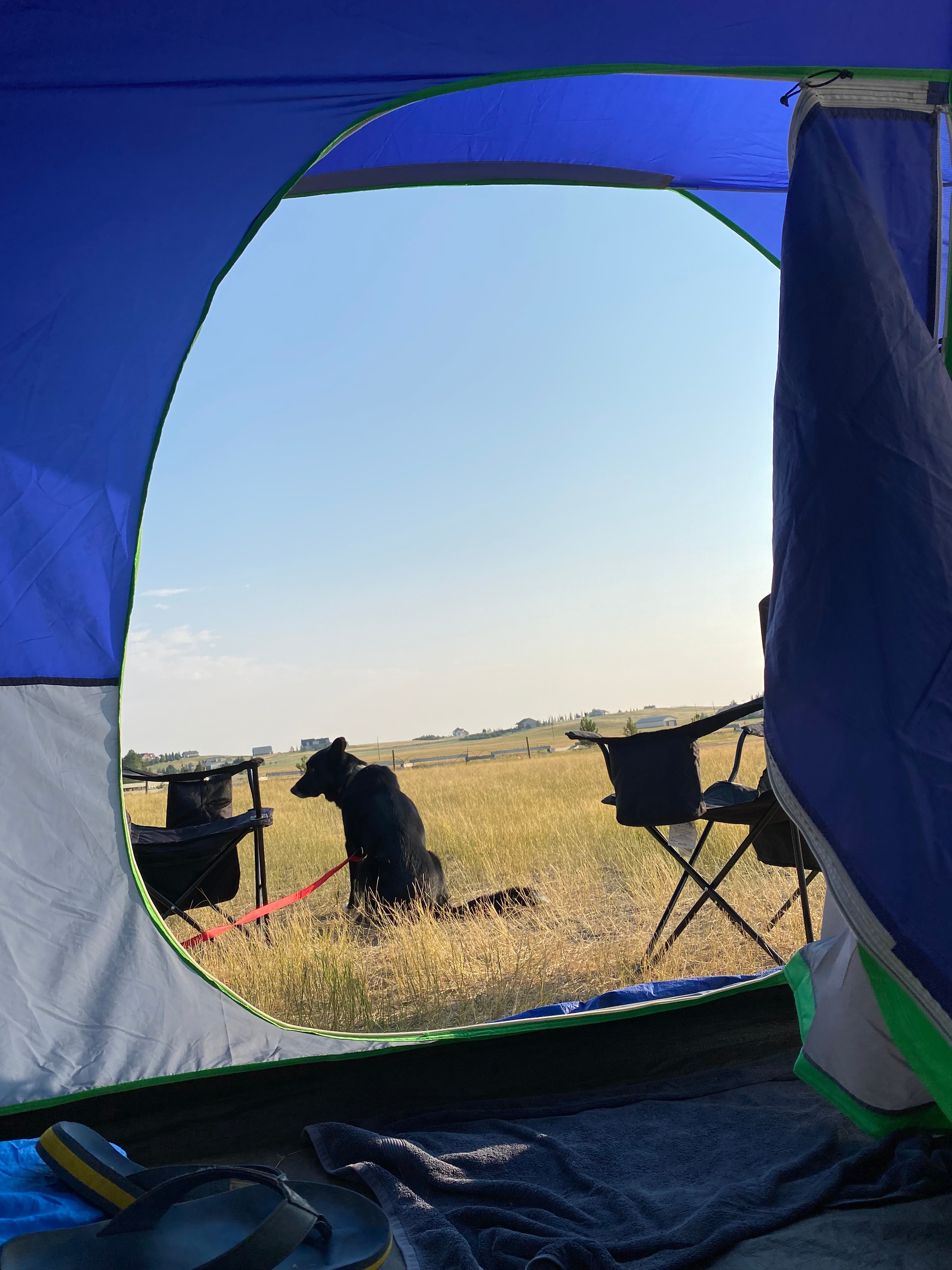 Last Chance Camp, Cheyenne