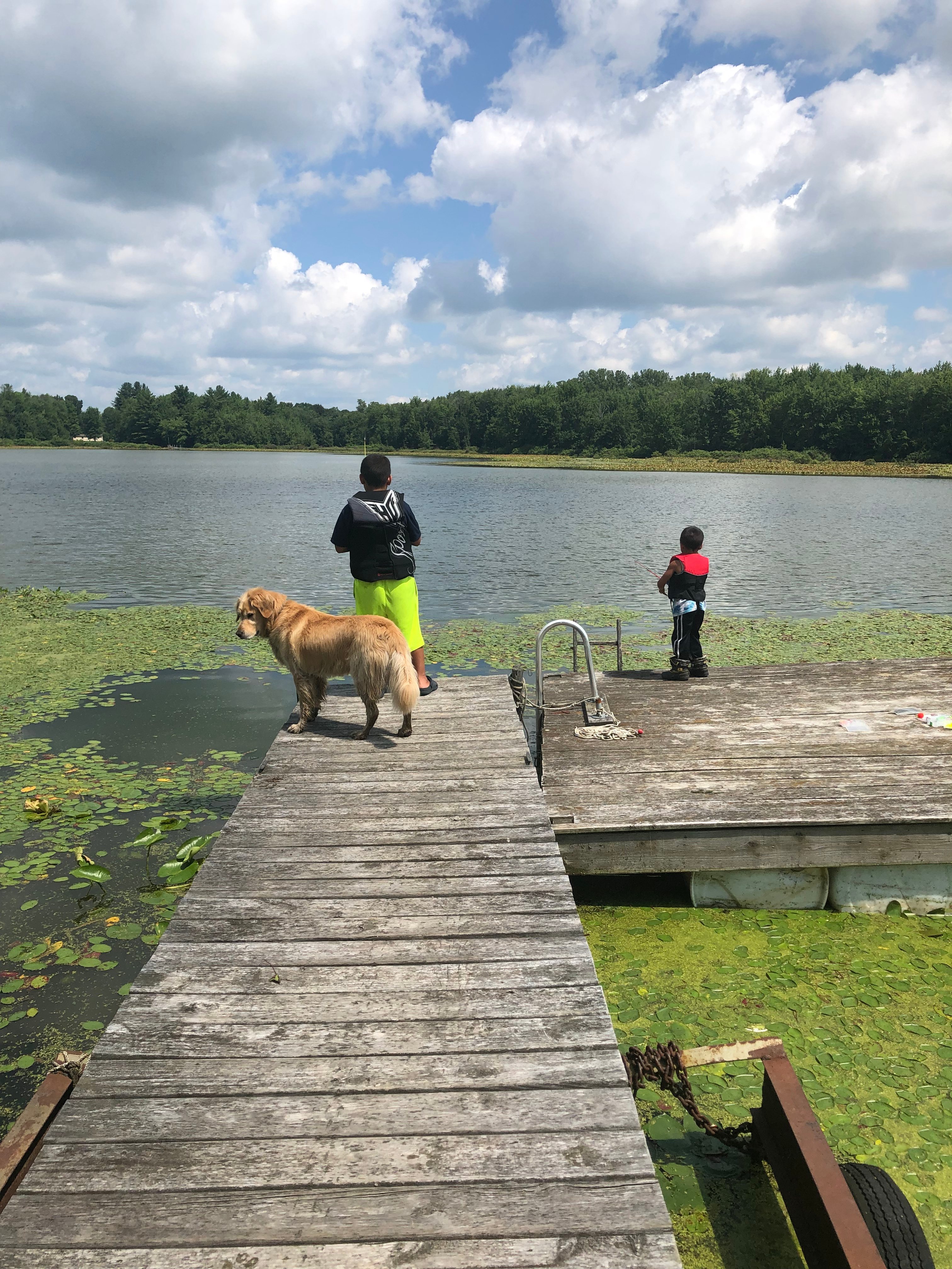 The dock and floating dock! The kids and dog loved the access!