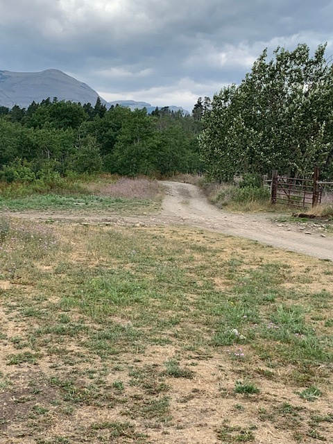 Midvale Creek Campground