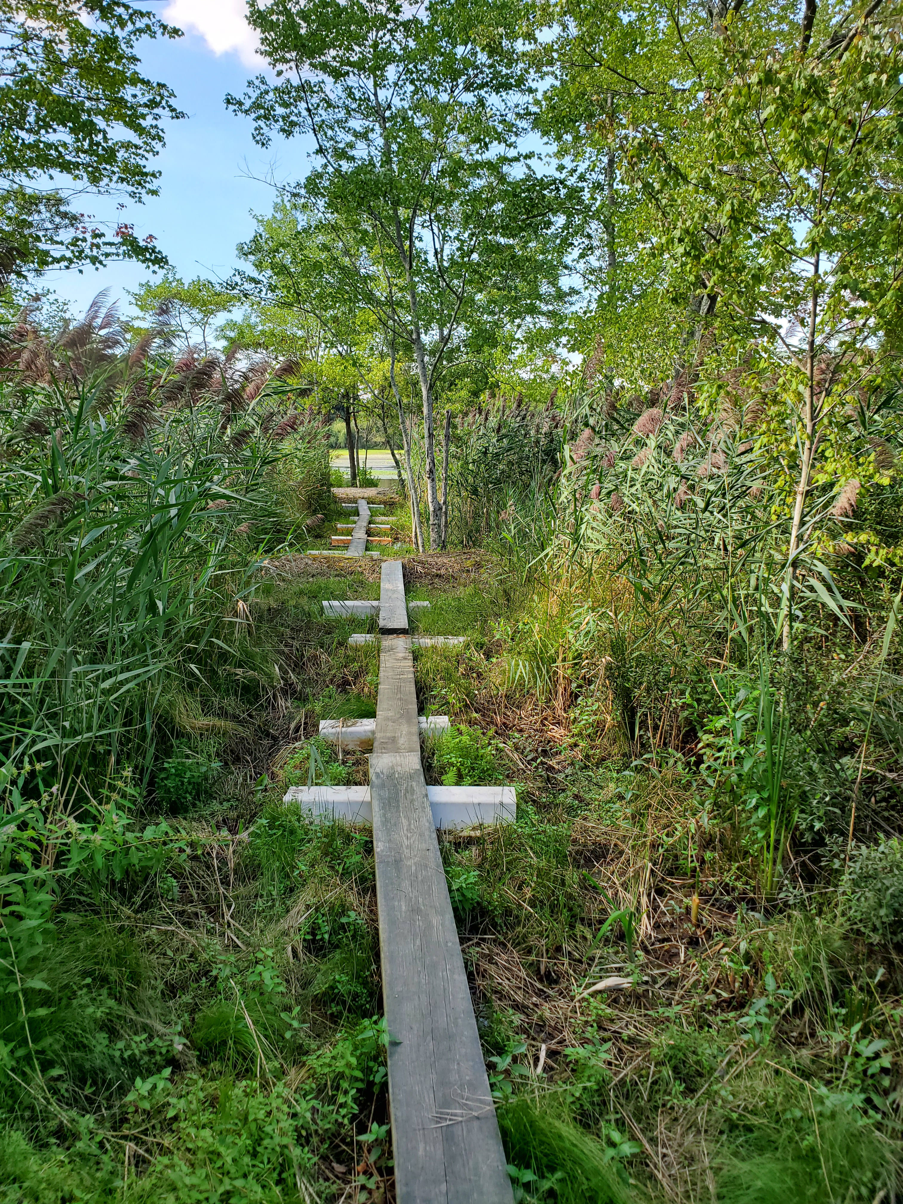 Peconic River Campgrounds