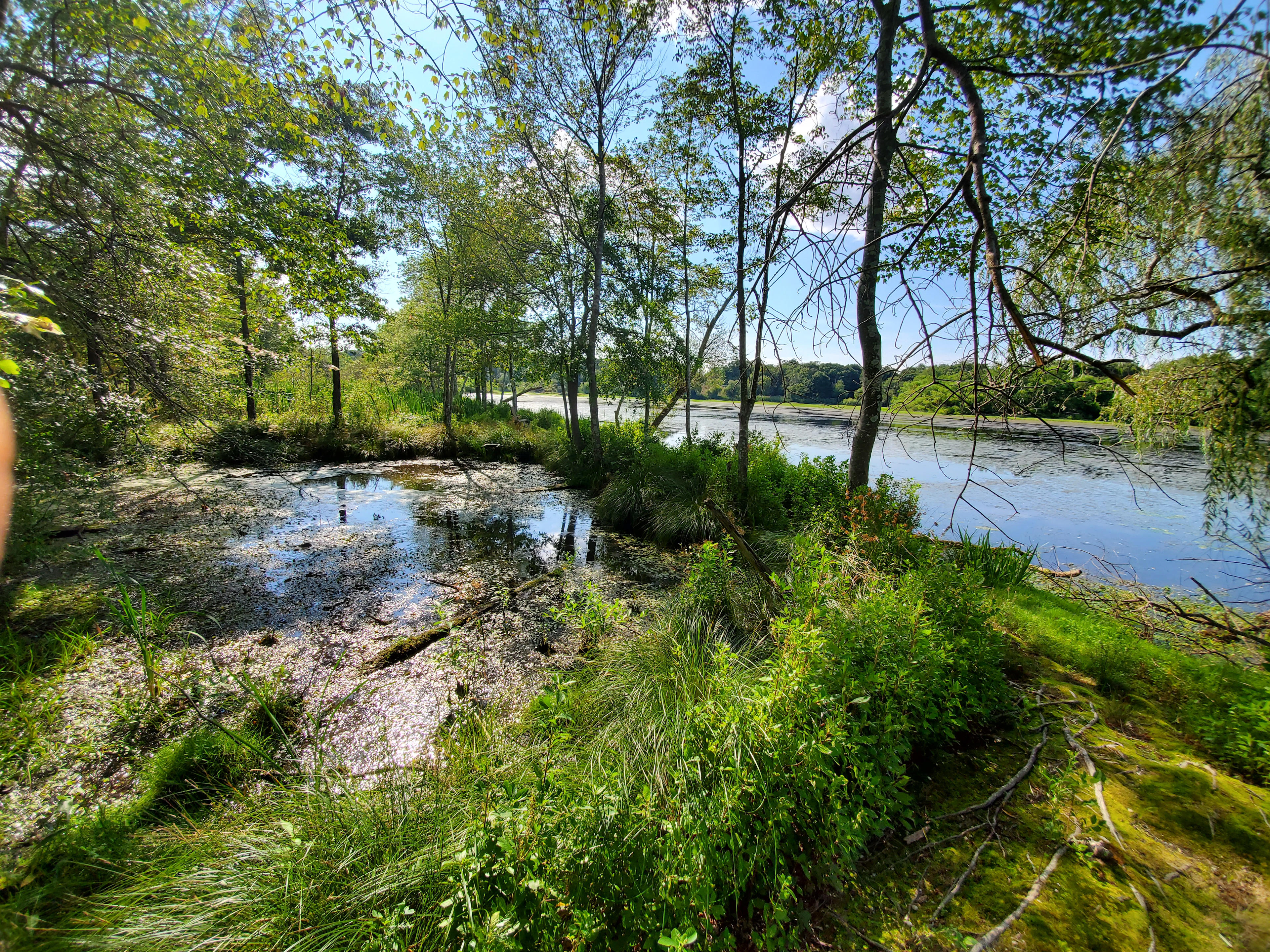 Peconic River Campgrounds