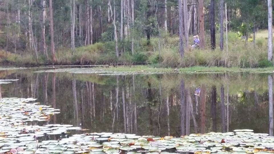 Water Lily Haven