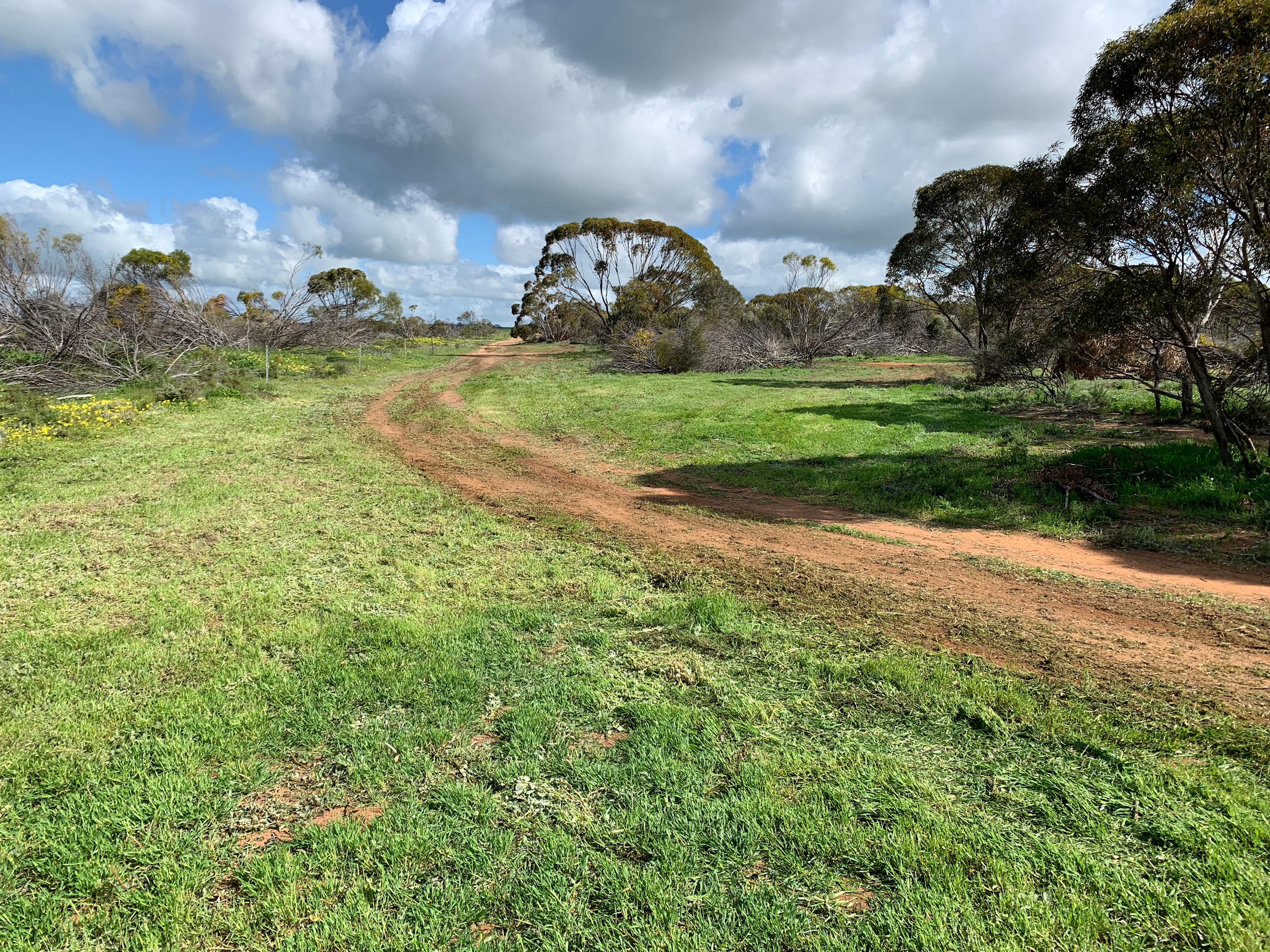 Road into camping area