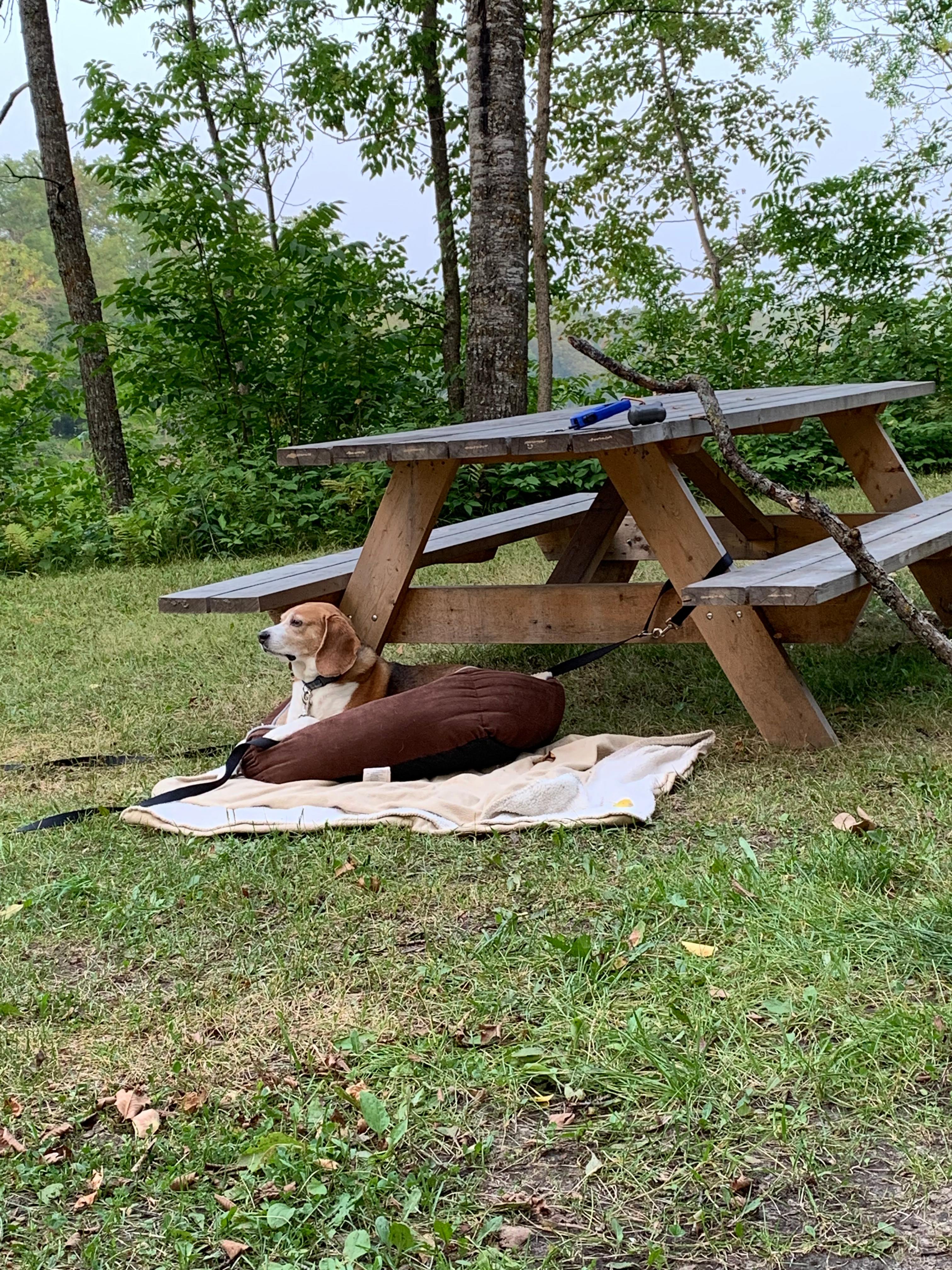Floodwood Municipal Campground