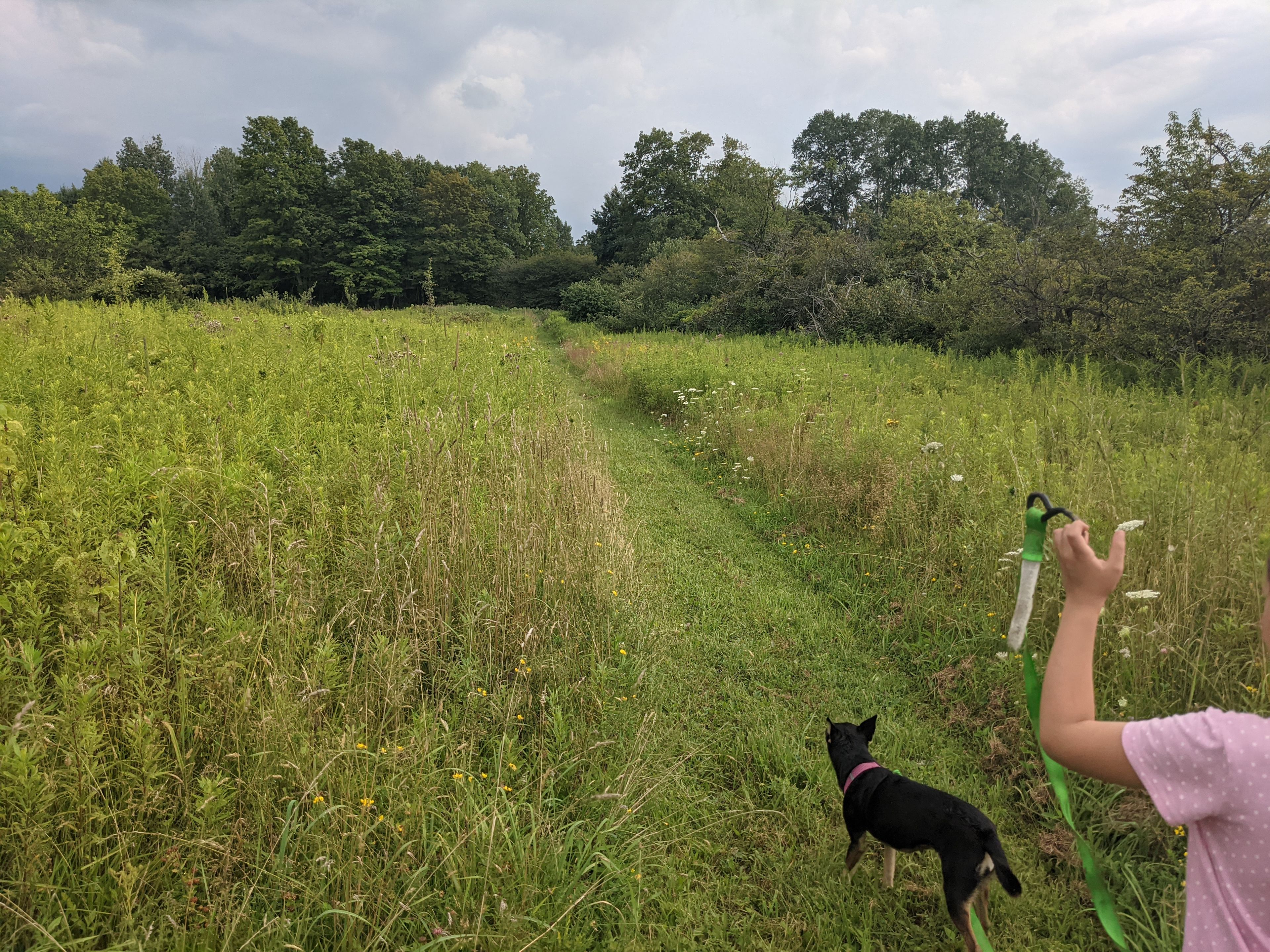 More of the trails 
