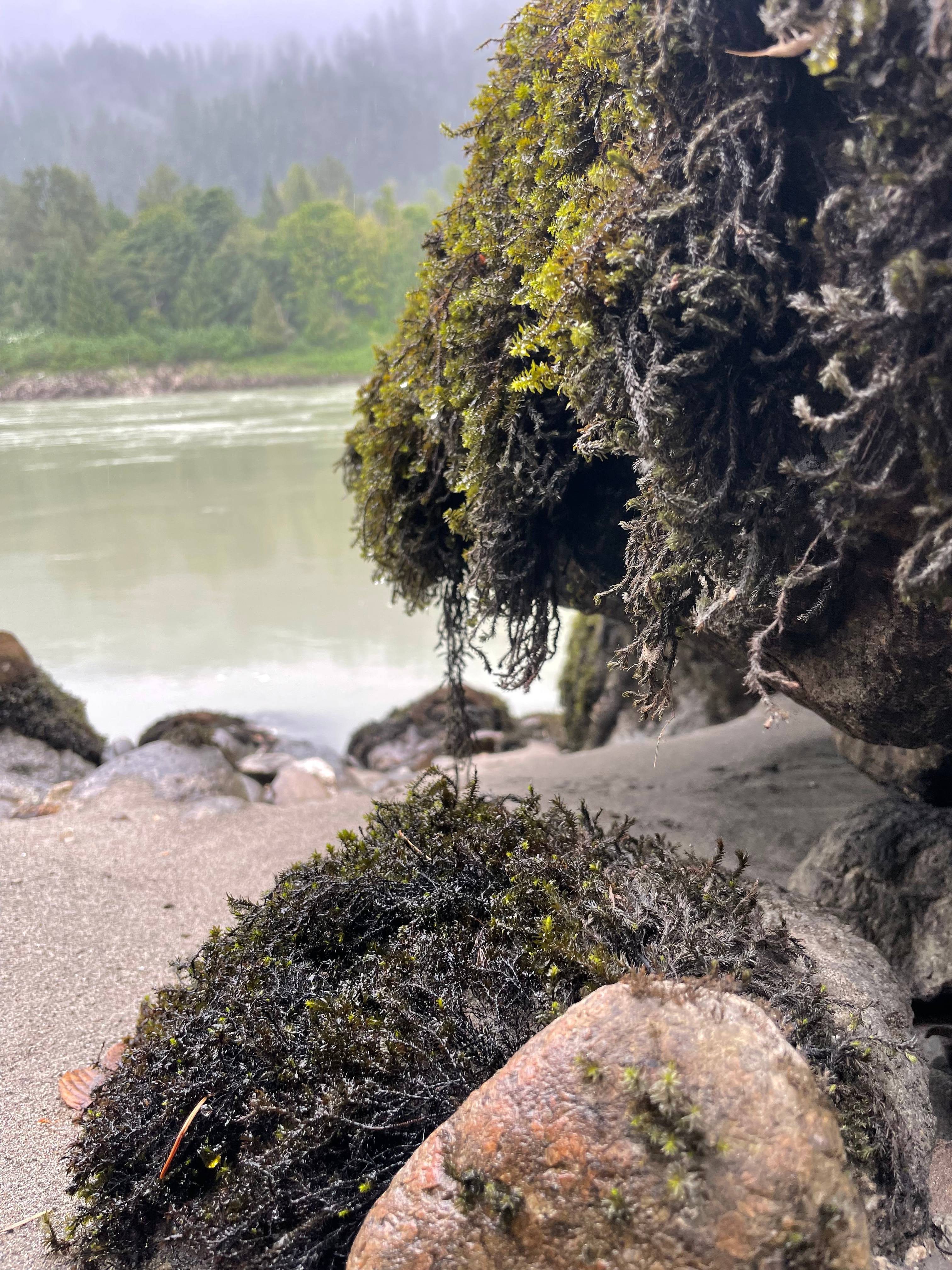 Bigfoot Hideaway on the Fraser