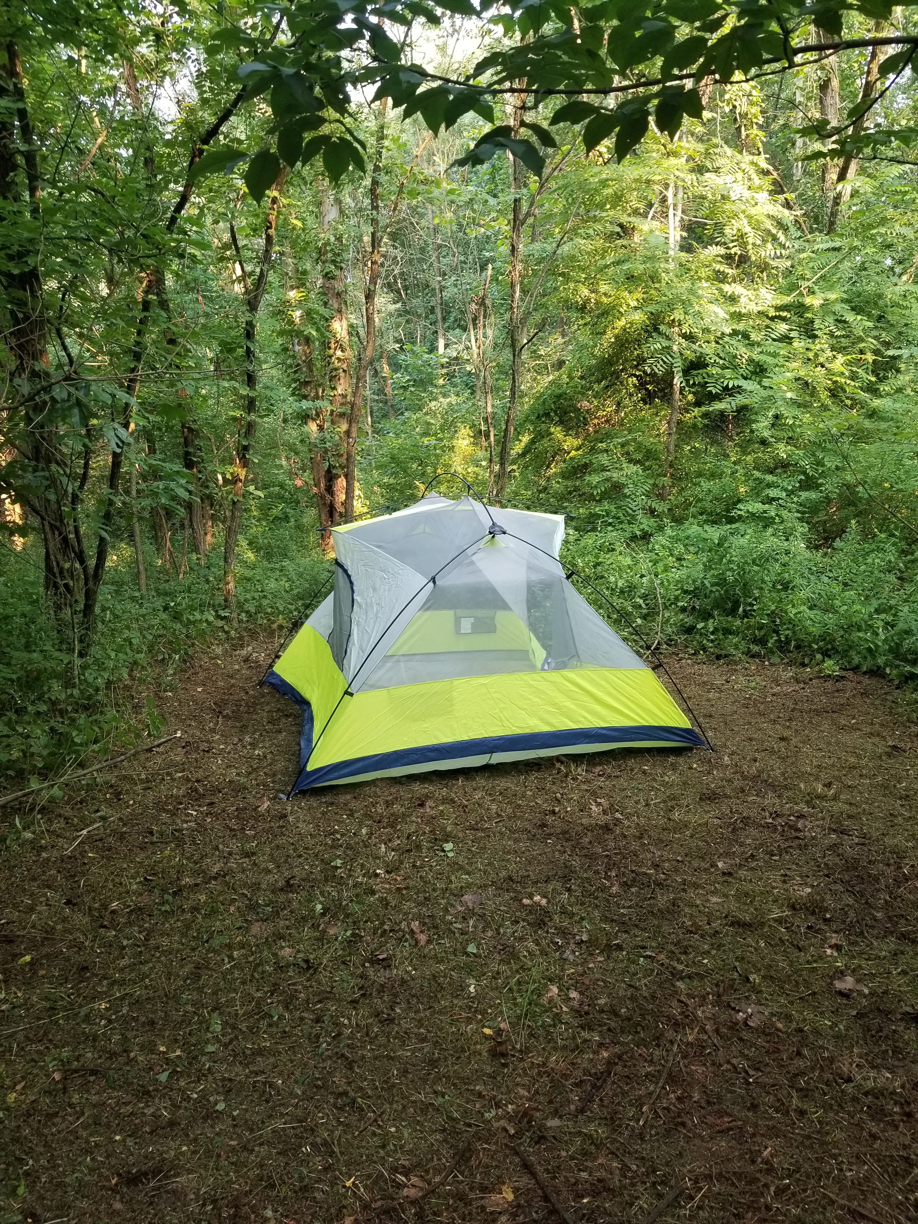 Squatch Hills