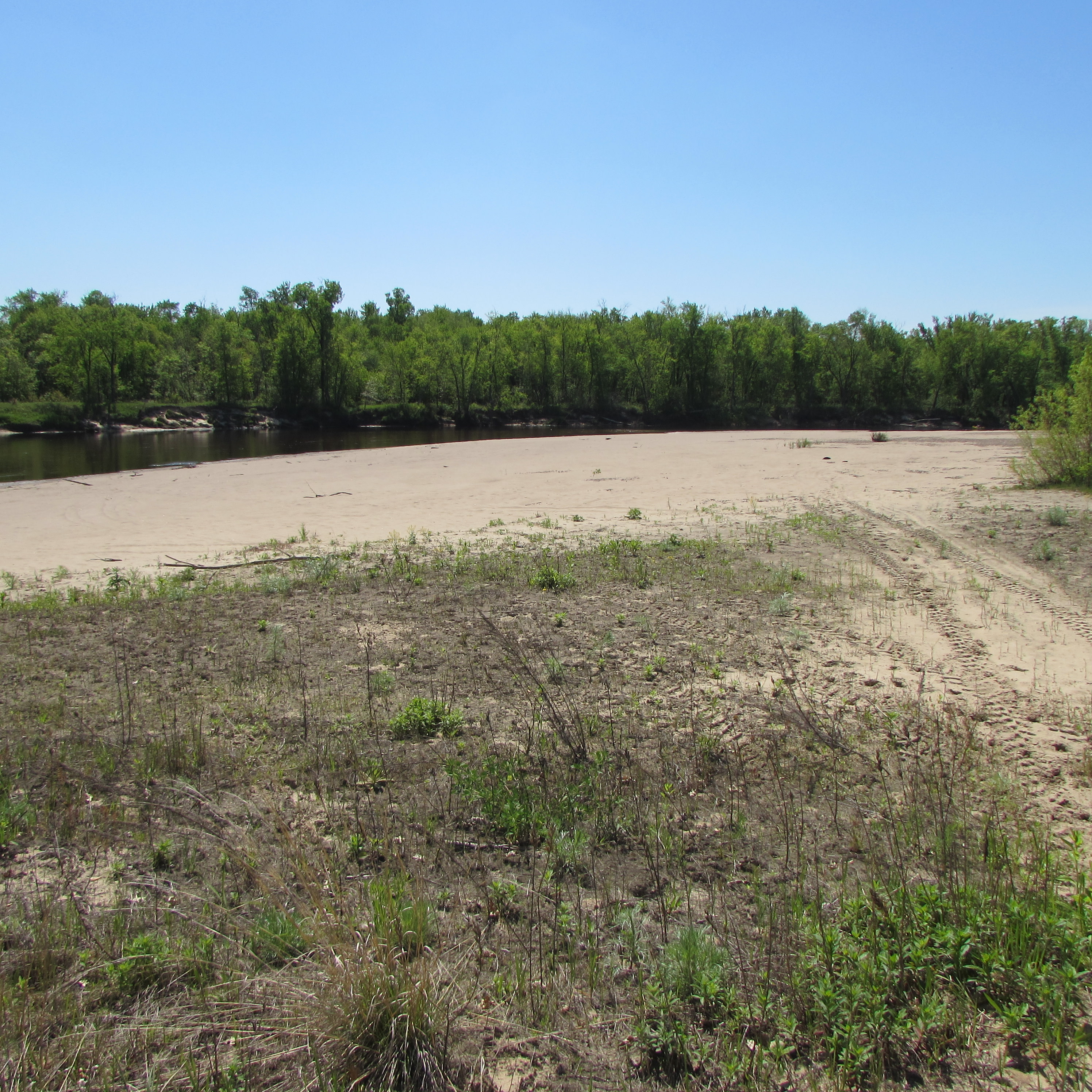 View to the south along trail from beach to the parking area next to Rustic Site R3.