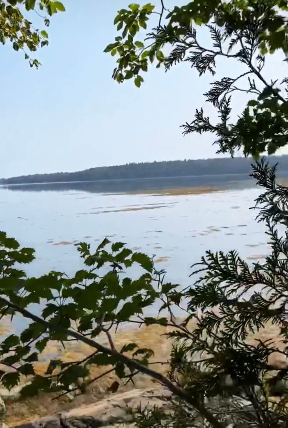 SPECTACULAR SEASIDE YURT