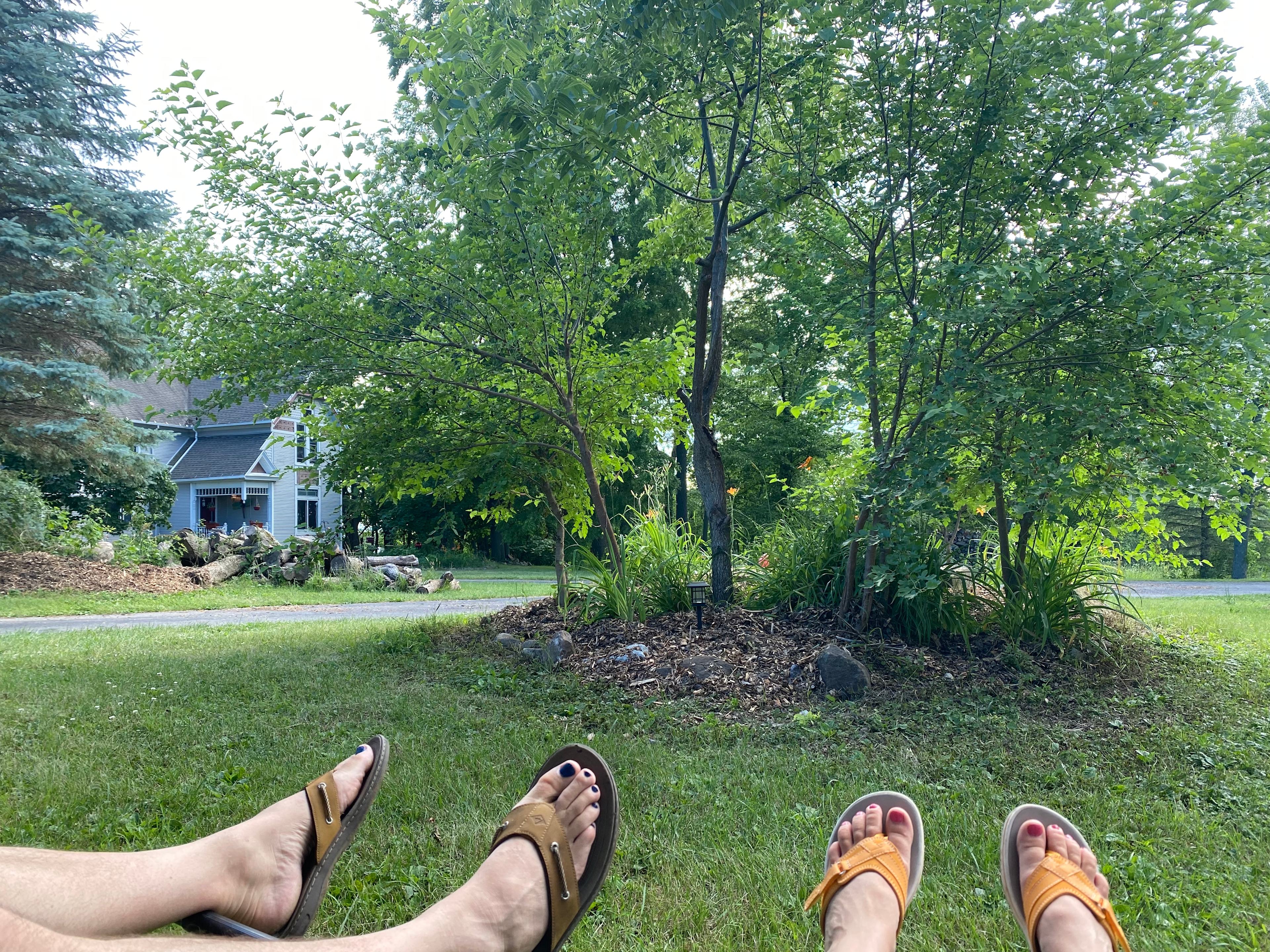 Mayville Farm