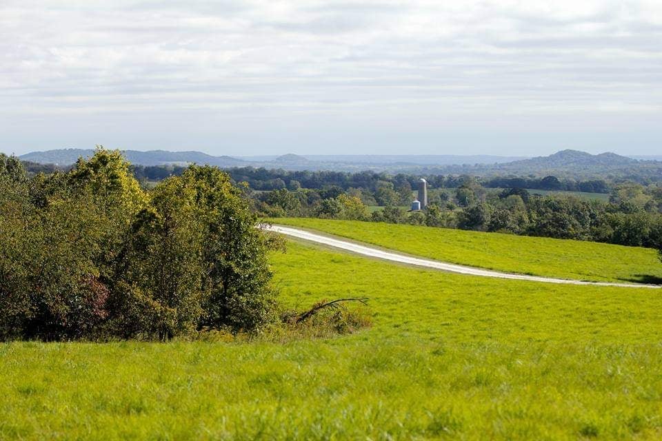 PeaceTree Farms