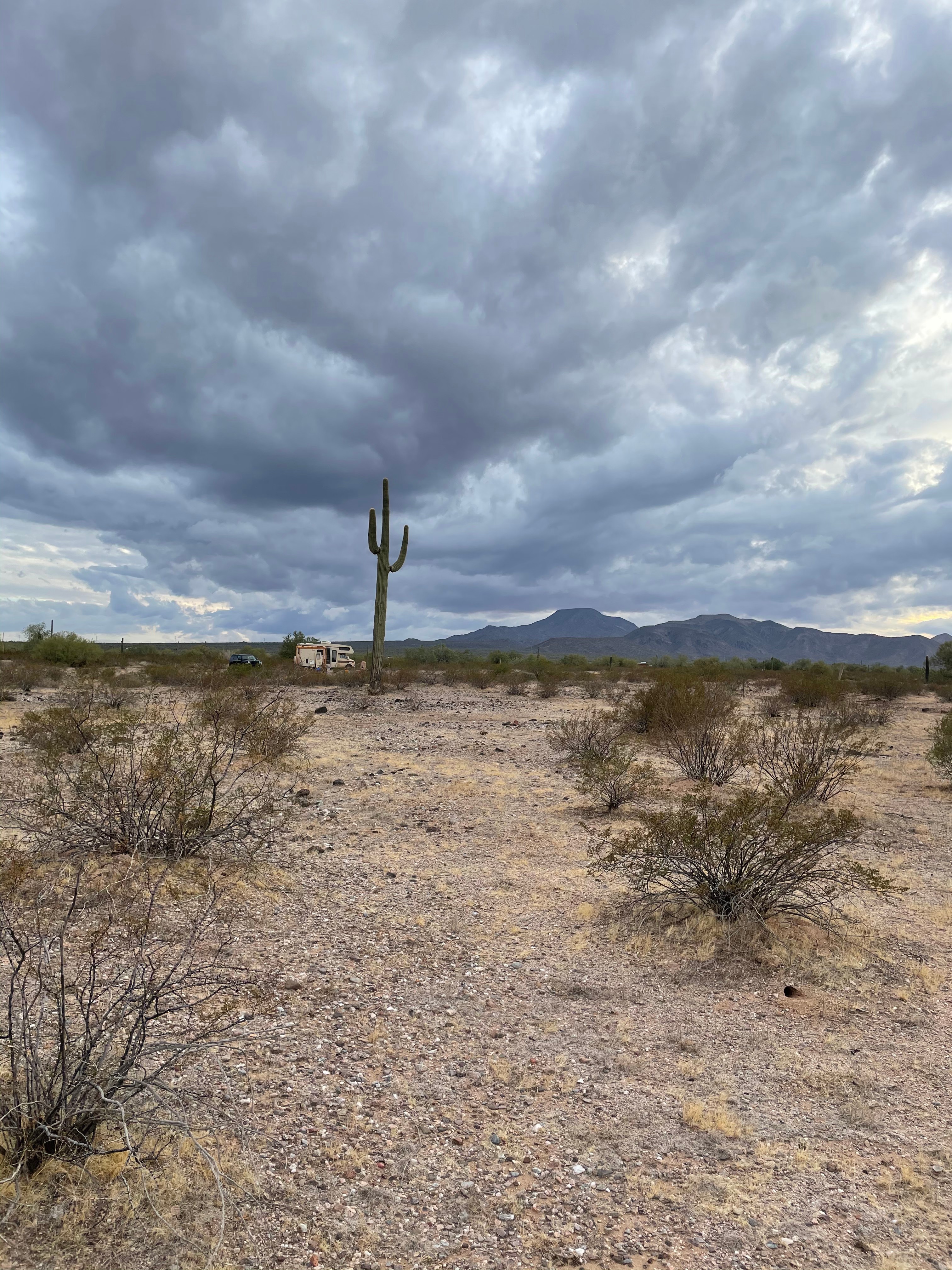 Low Desert Land