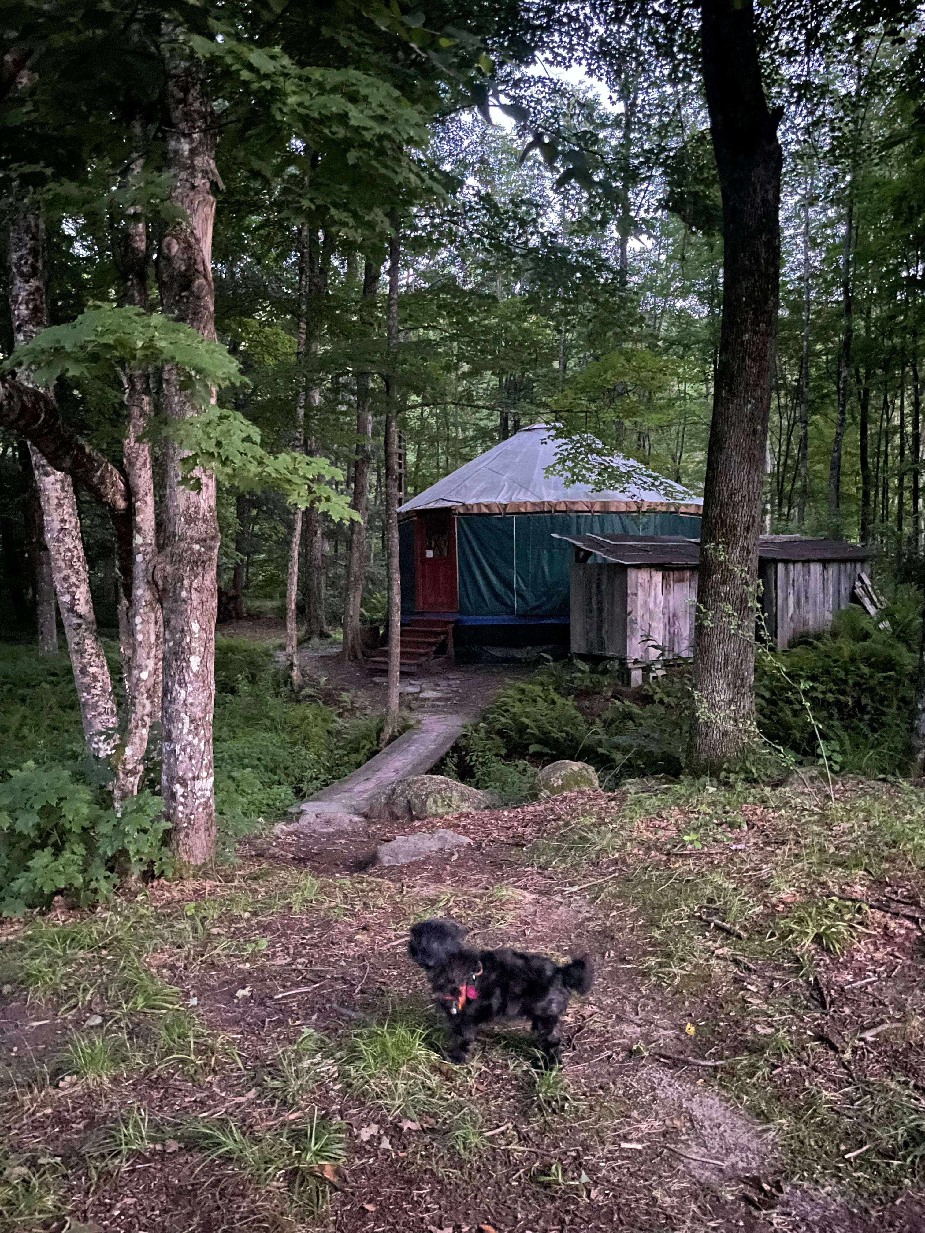 To the yurt!