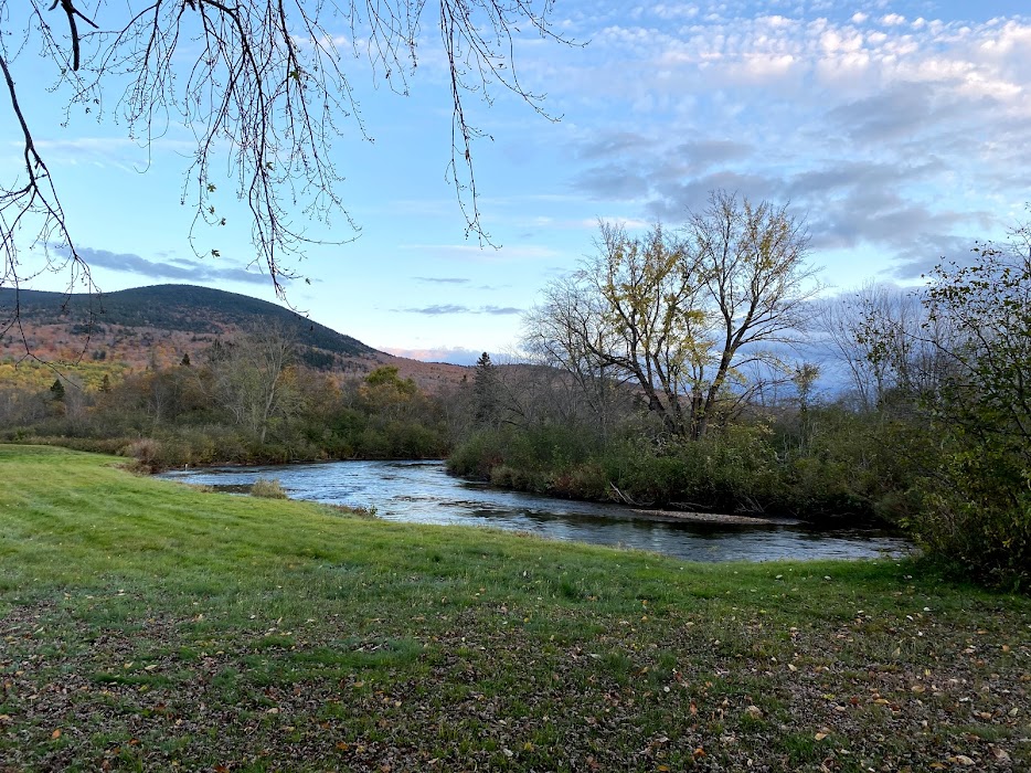 Should you fly fish or canoe today?