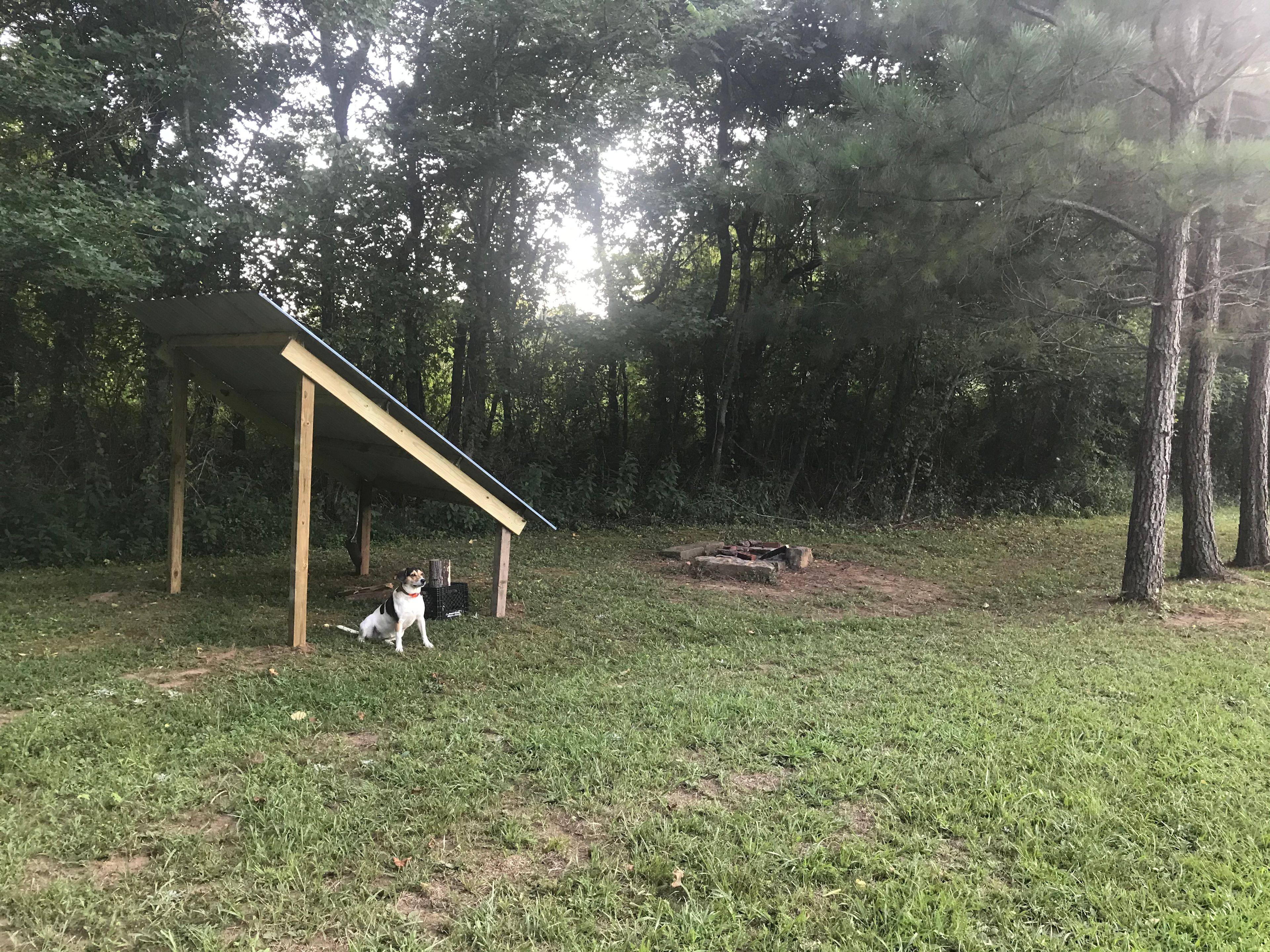 A small lean-to shelter. Approximately 8’x8’ with Lucy The Adventure Dog R.I.P.
R.I.P.
giving her best pose.

