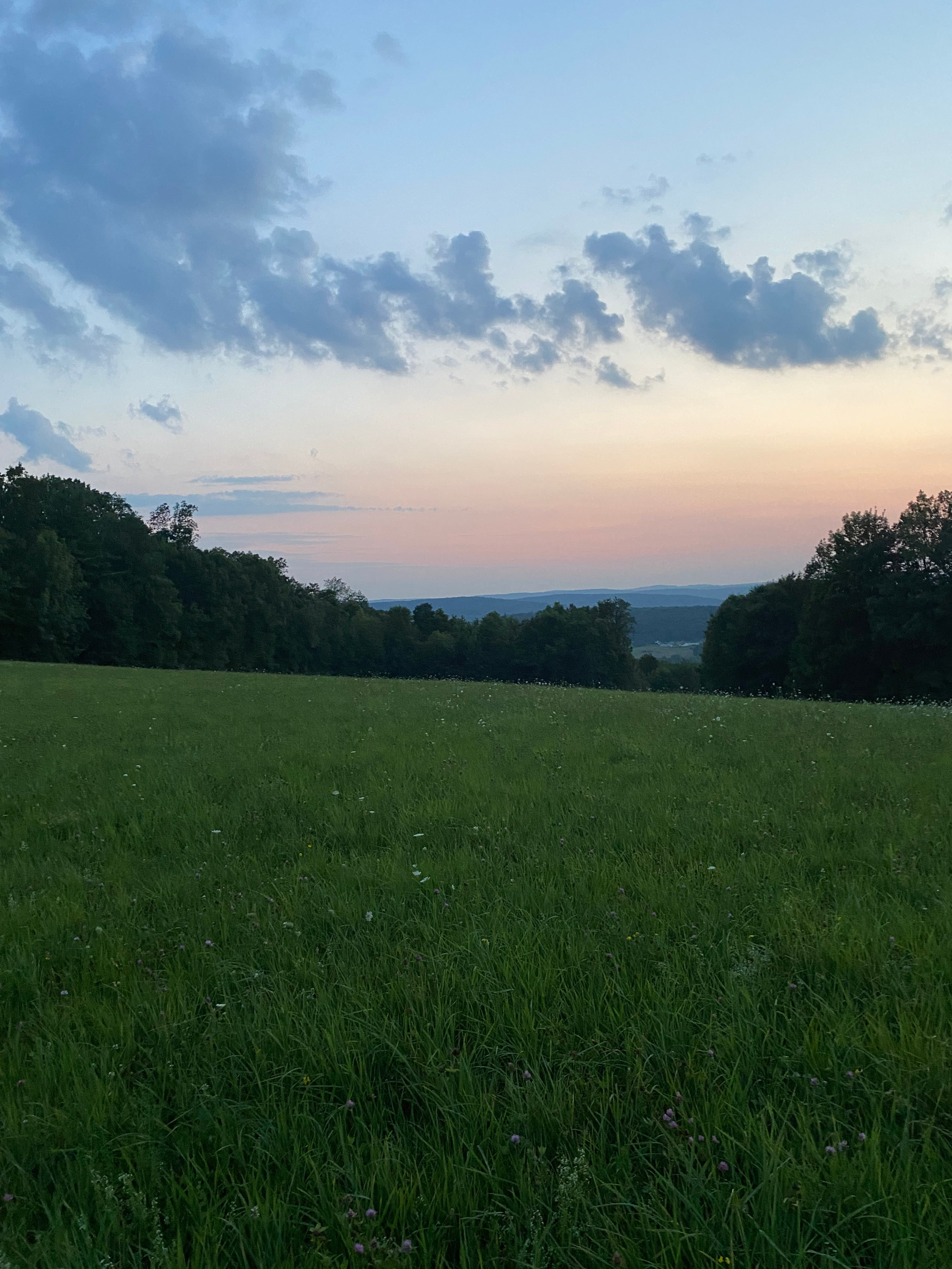 Winn Hill Farms Camping