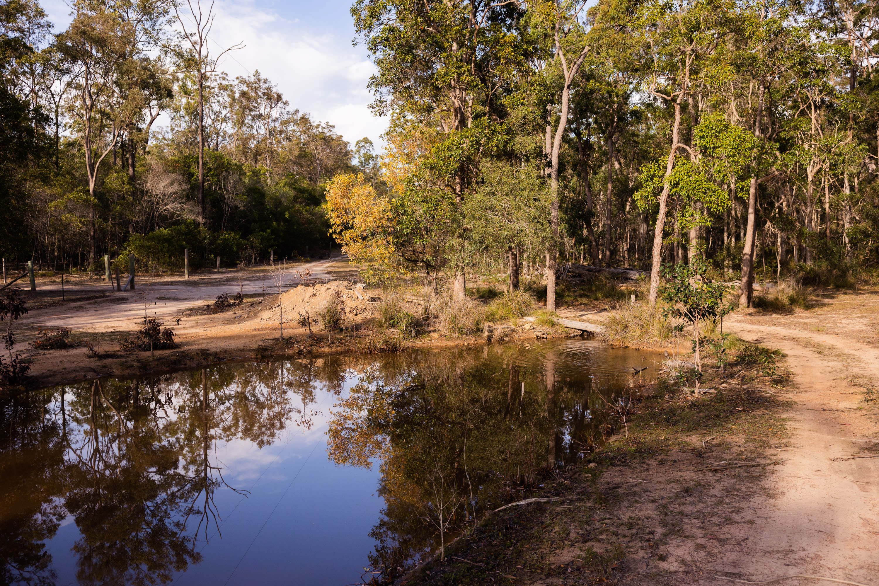 Peppy Park, near Maryborough