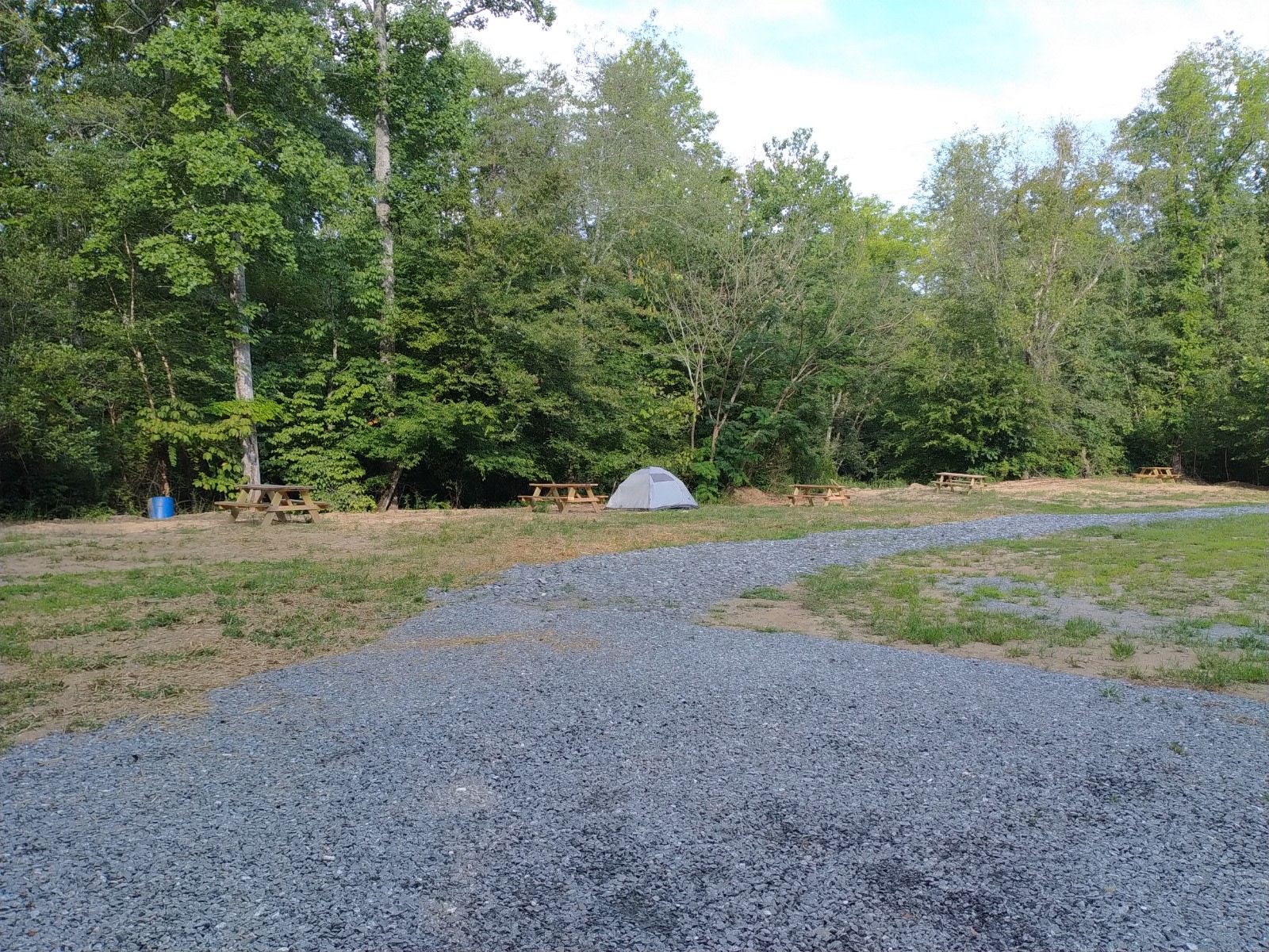 Gold River / camp + cabins