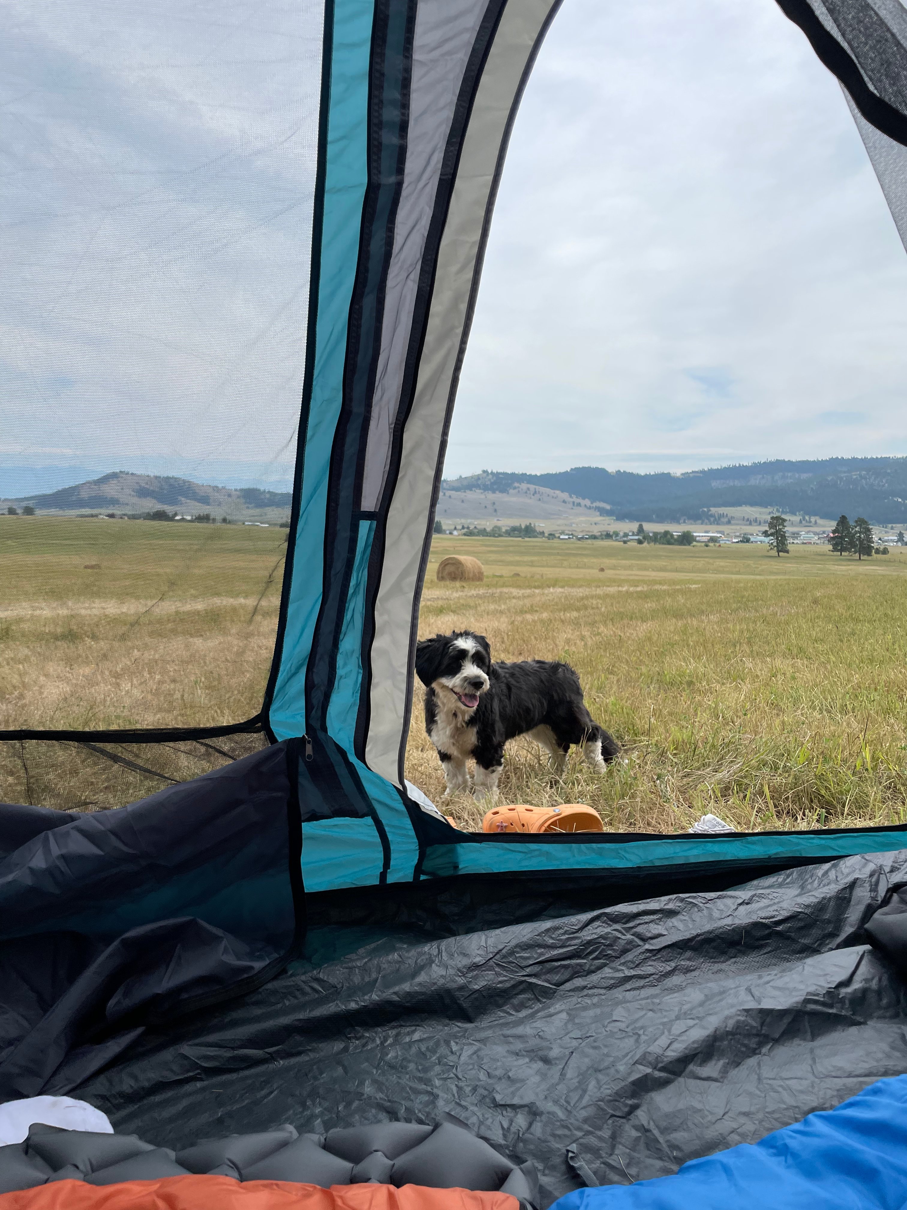 Rv or tent camping in the trees
