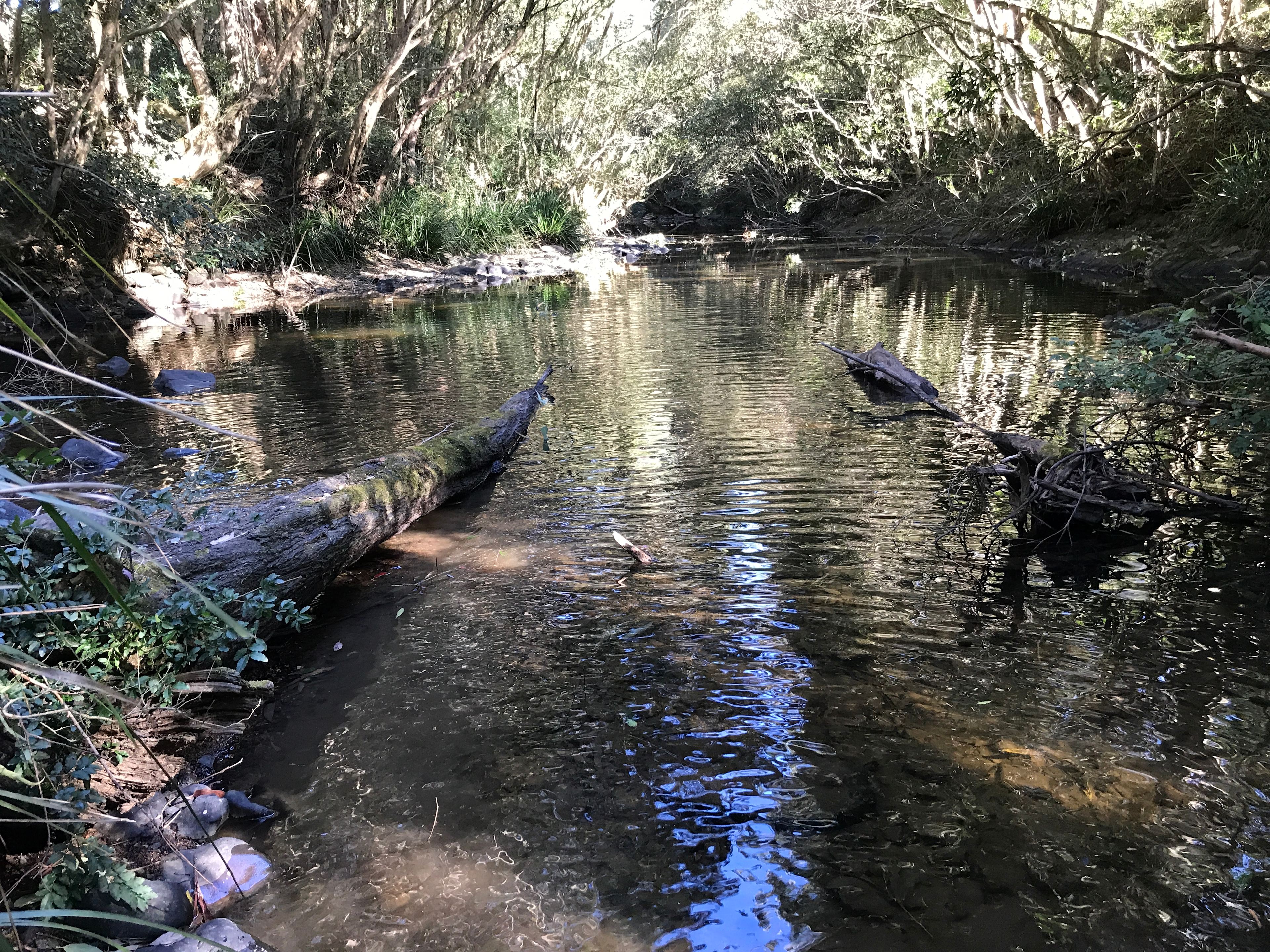 The Ellenborough River is full of beautiful minerals, worth the trek just to take a soak!!  