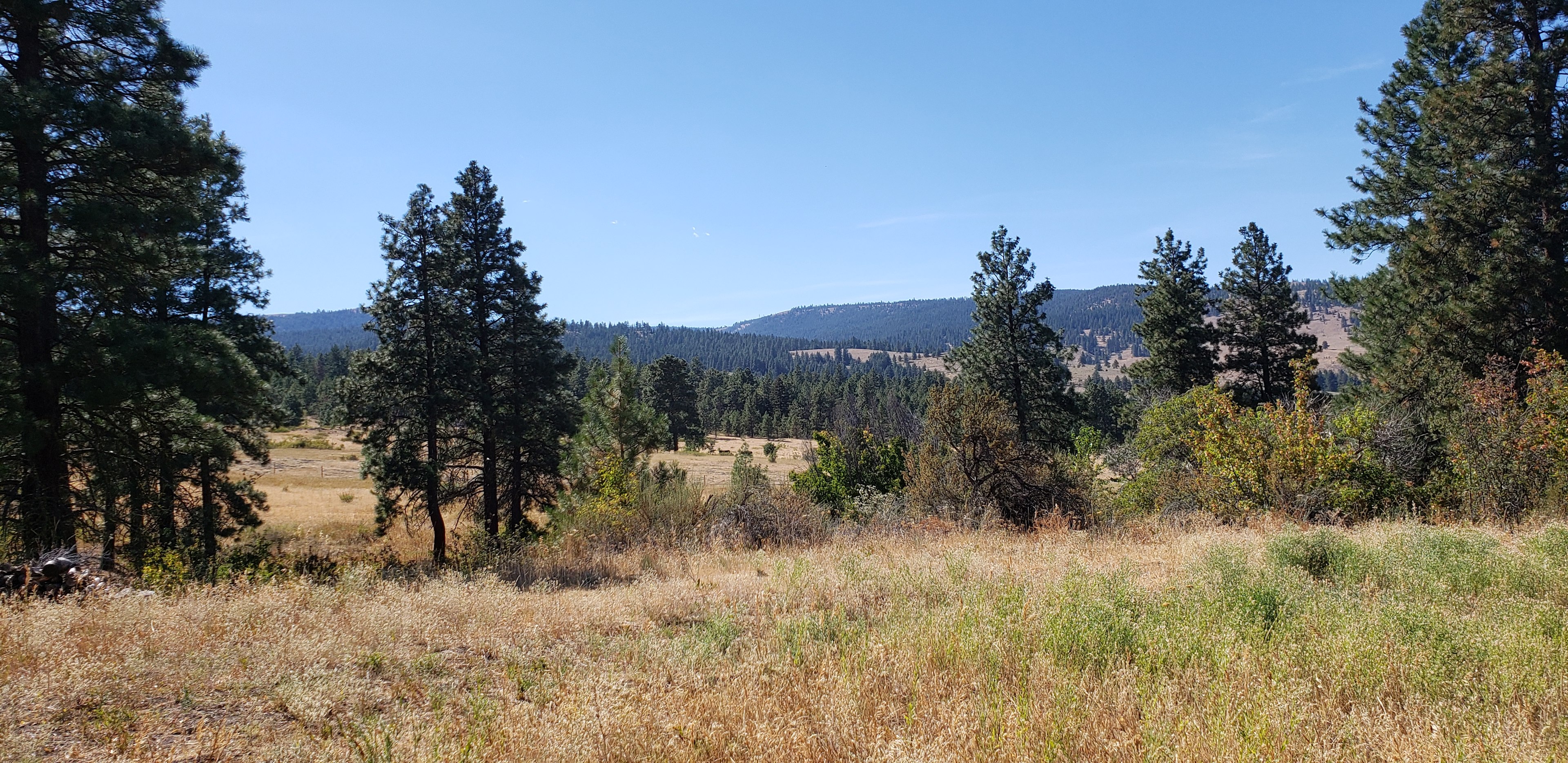 Colockum Wildlife Camp