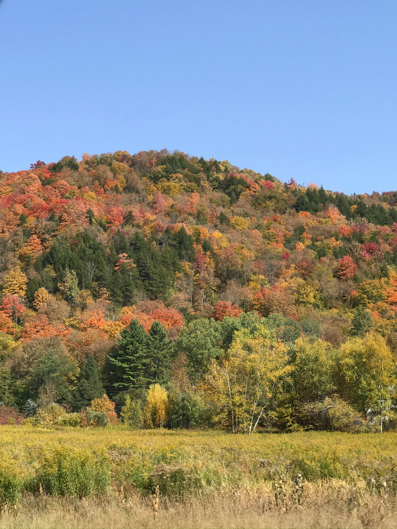 Camp Granville woods field valley 