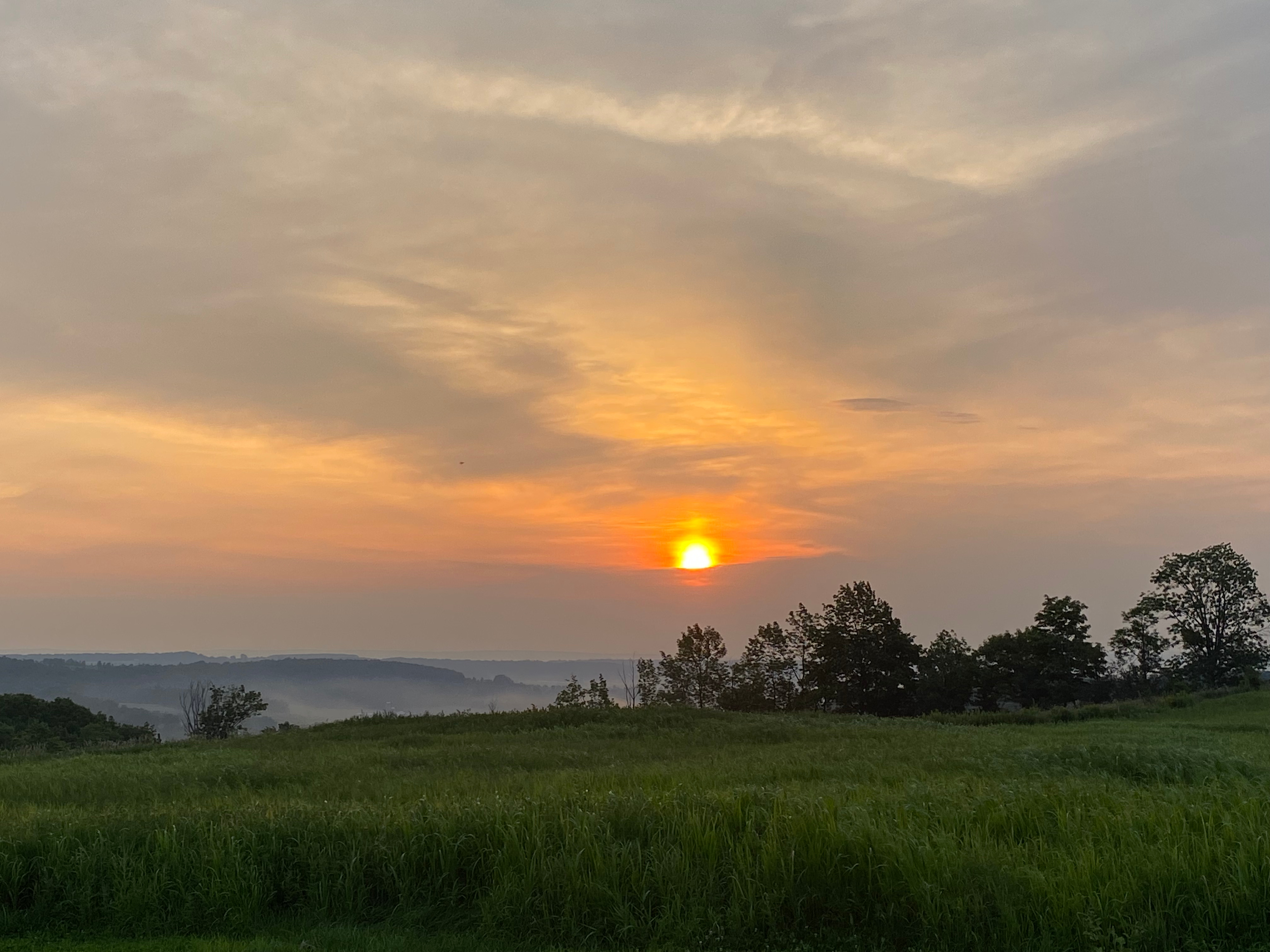 Karen S.’s Land