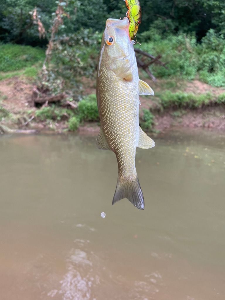 Fishing at the river.