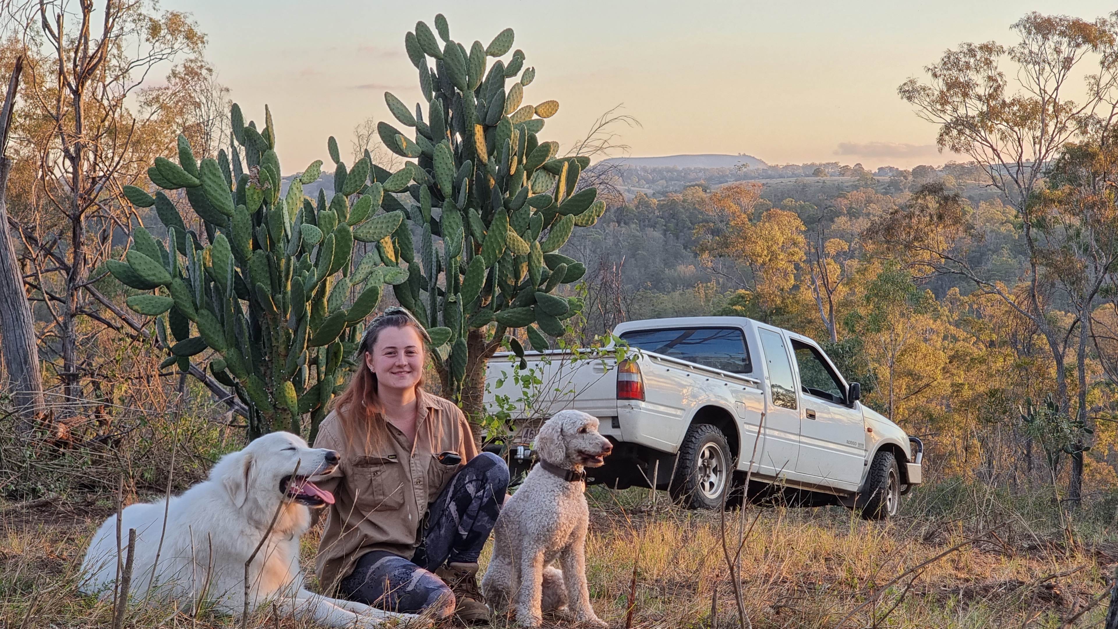 View from Wolfs Howl - Top spot to watch the sunset or sunrise and do some meditation.