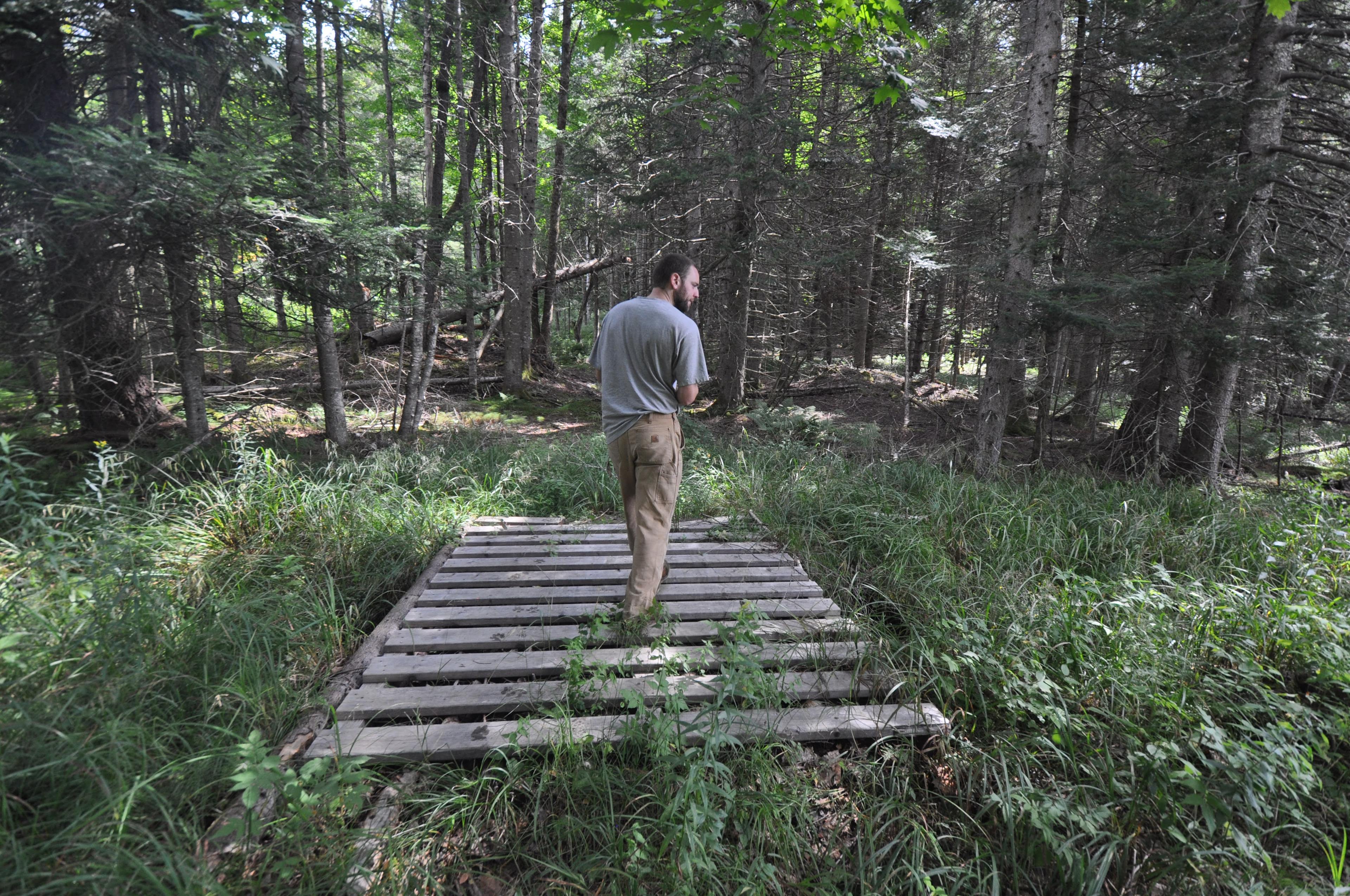 Bridge/Tent Platform out in the woods