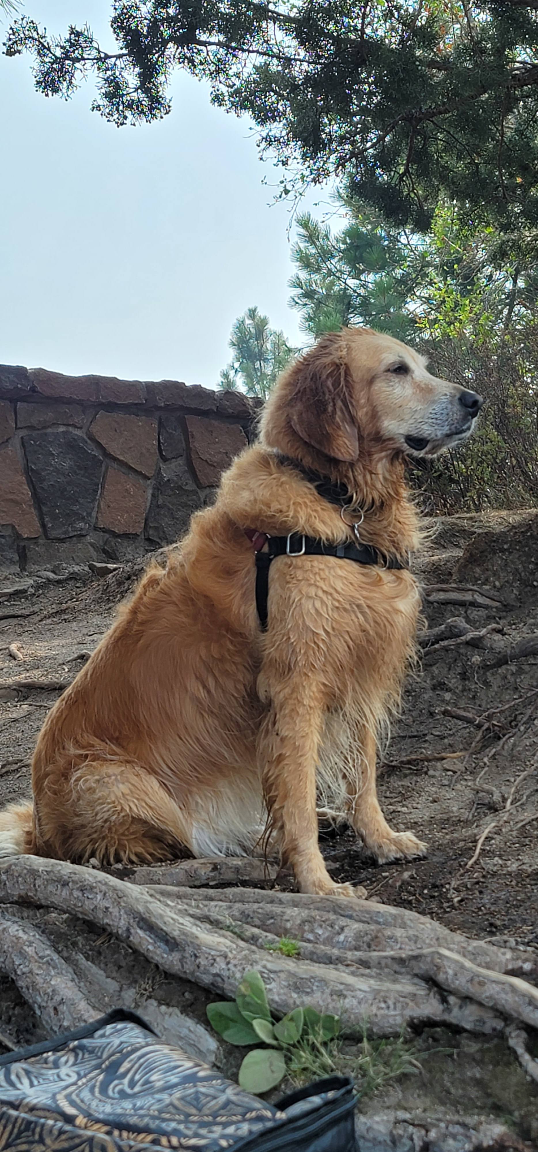 Sunset/Sunrise on Cricketwood Farm