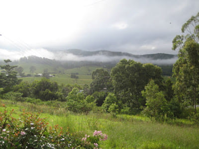 Bellbunya Eco Resort