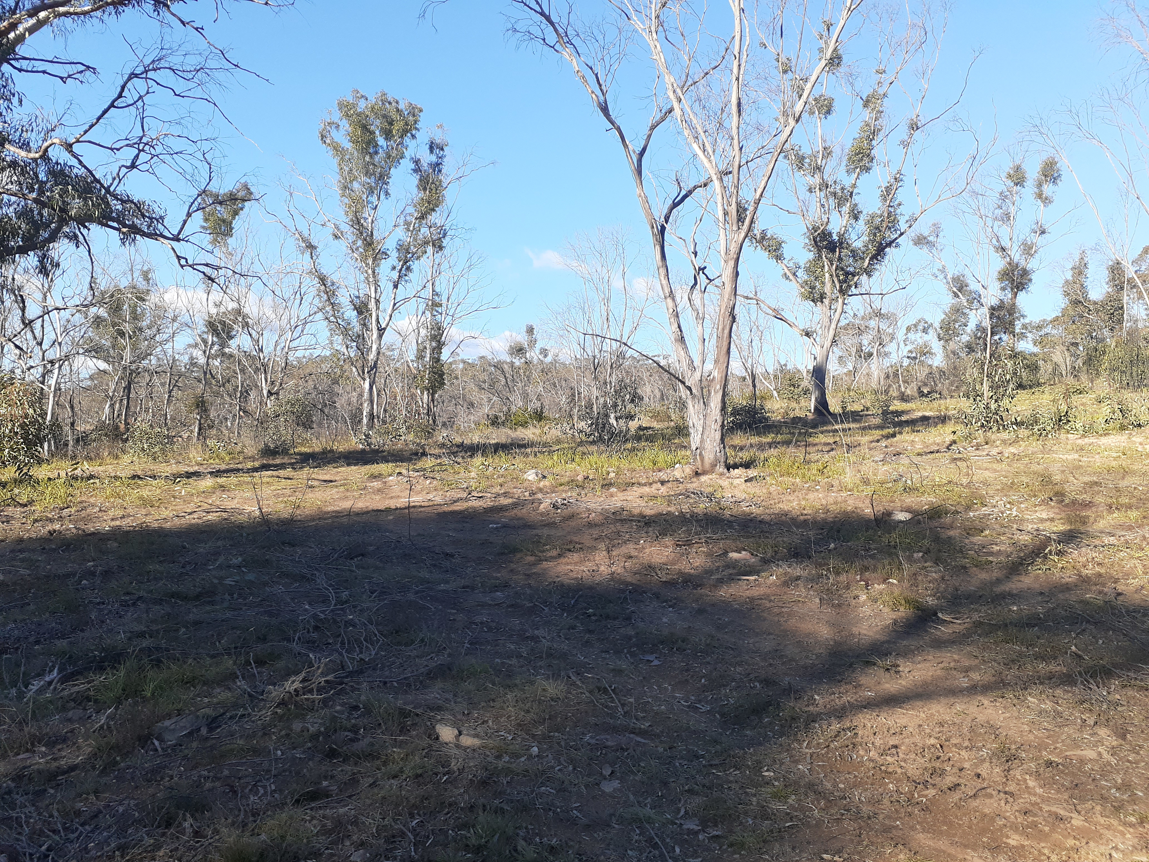 Ningee Gold Panning, Detecting