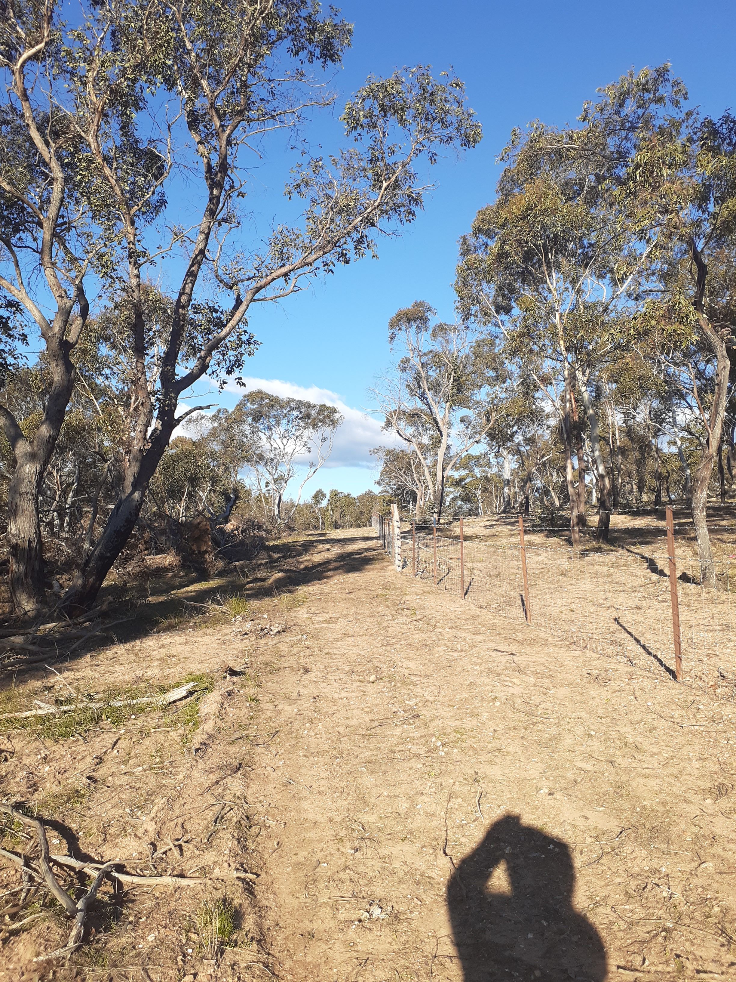 Ningee Gold Panning, Detecting